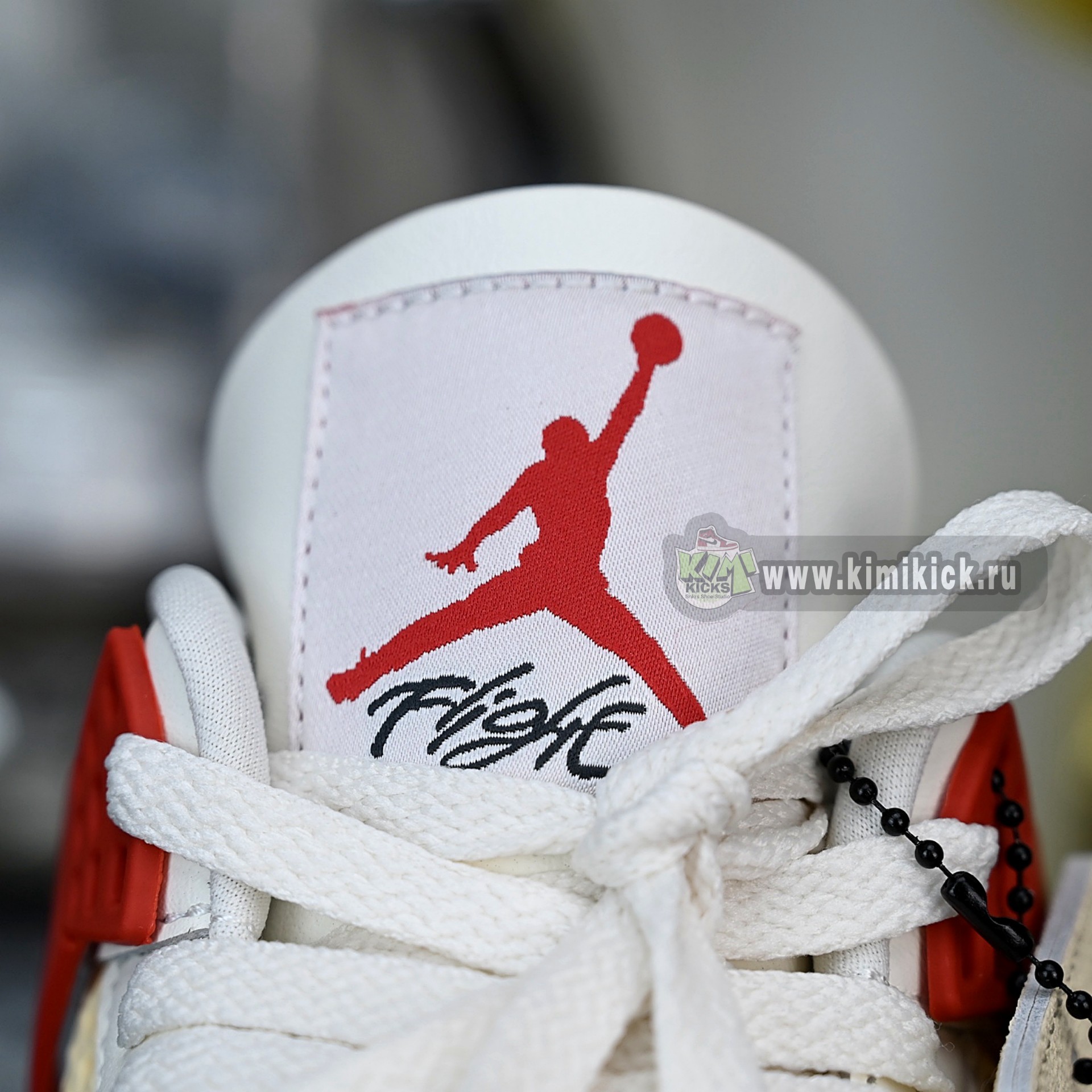 Nigel Sylvester x Air Jordan 4 IQ8055-100