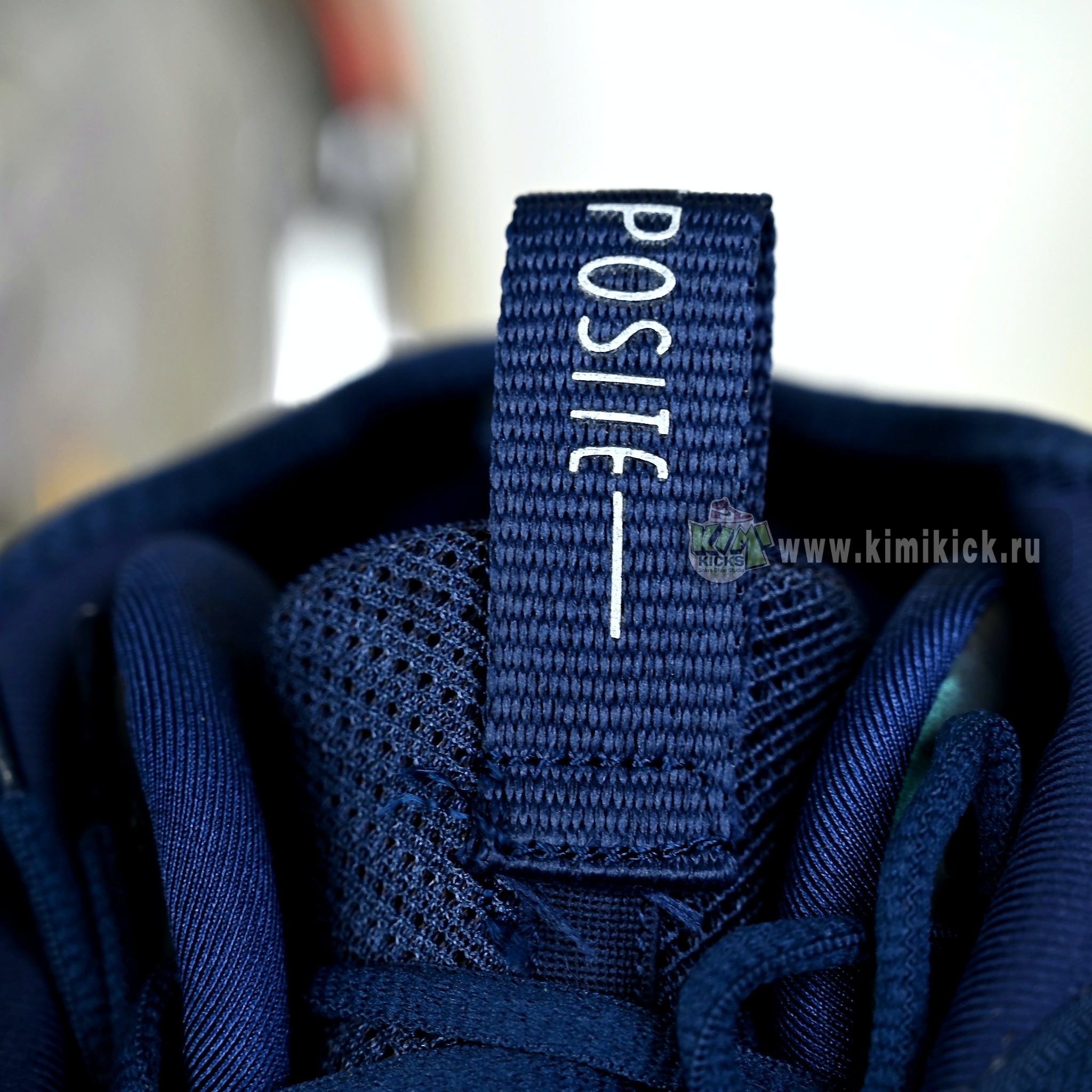 Nike Air Flightposite “Eggplant” HJ4481-900