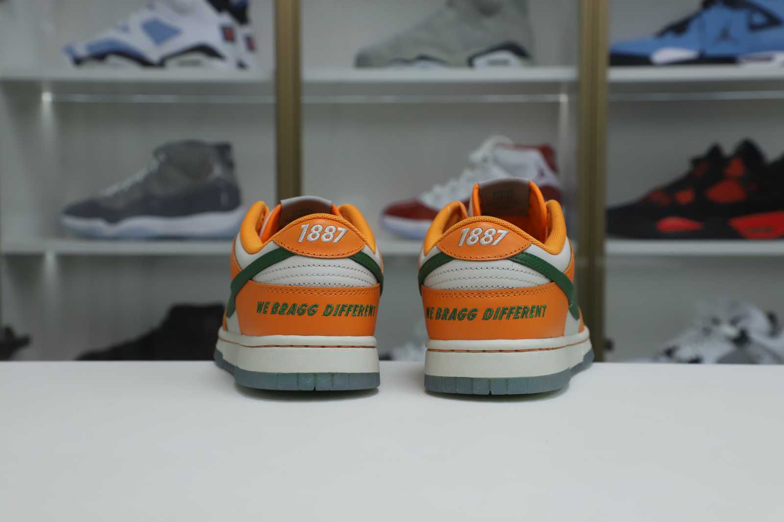 Nike Dunk Low  Florida A&M x