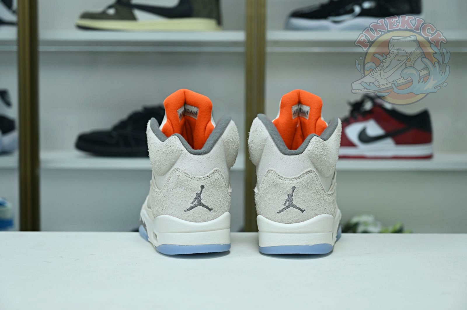 Air Jordan5 SE