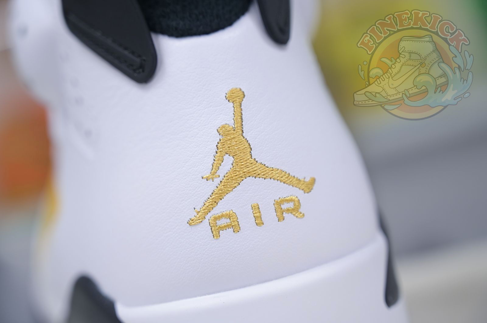 Air Jordan 6