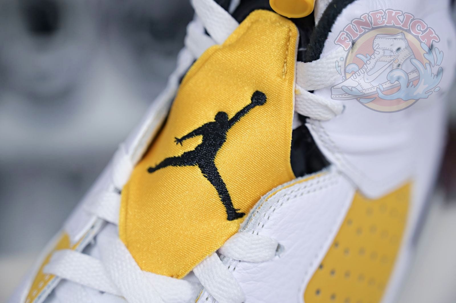 Air Jordan 6