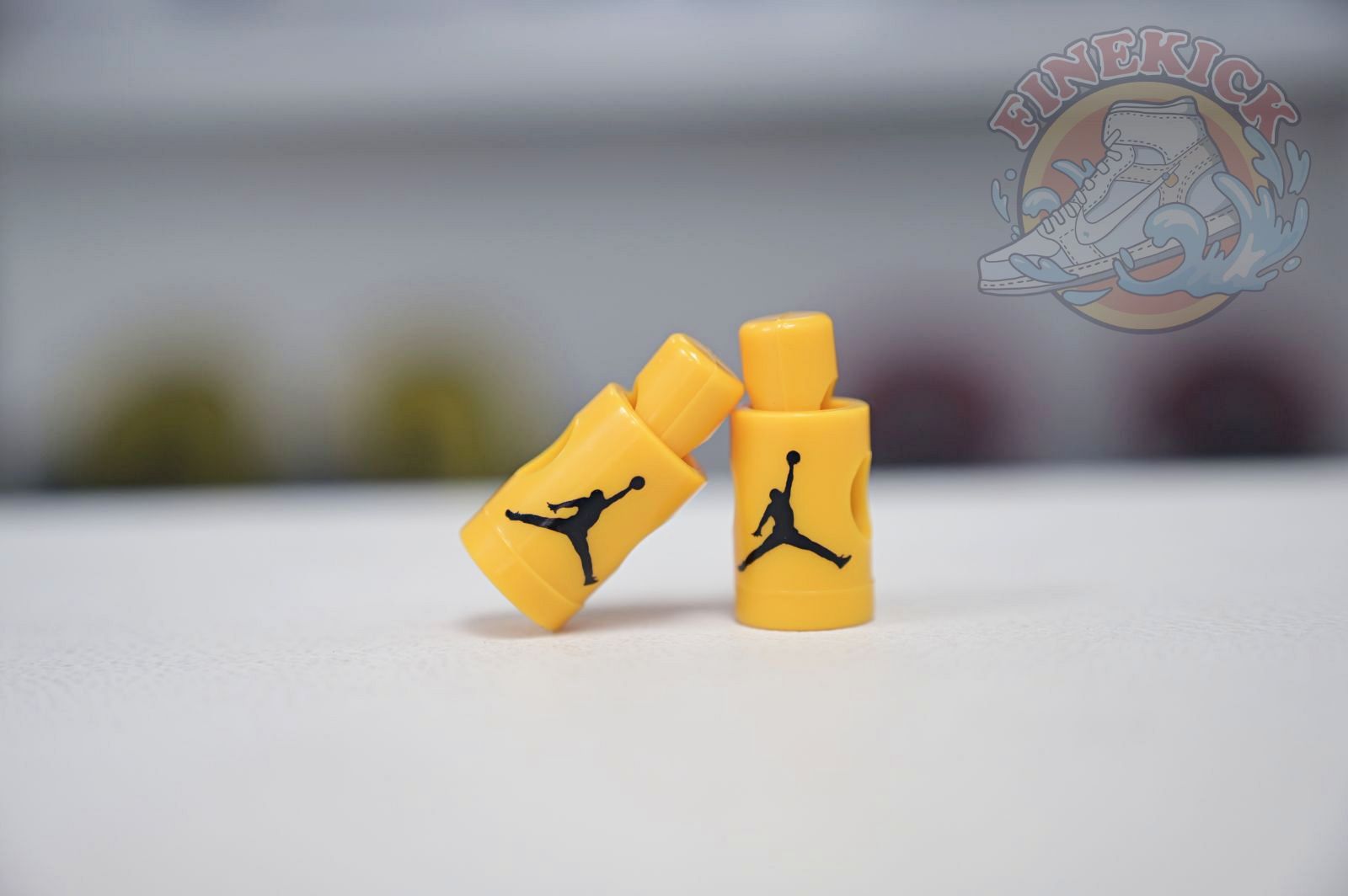 Air Jordan 6