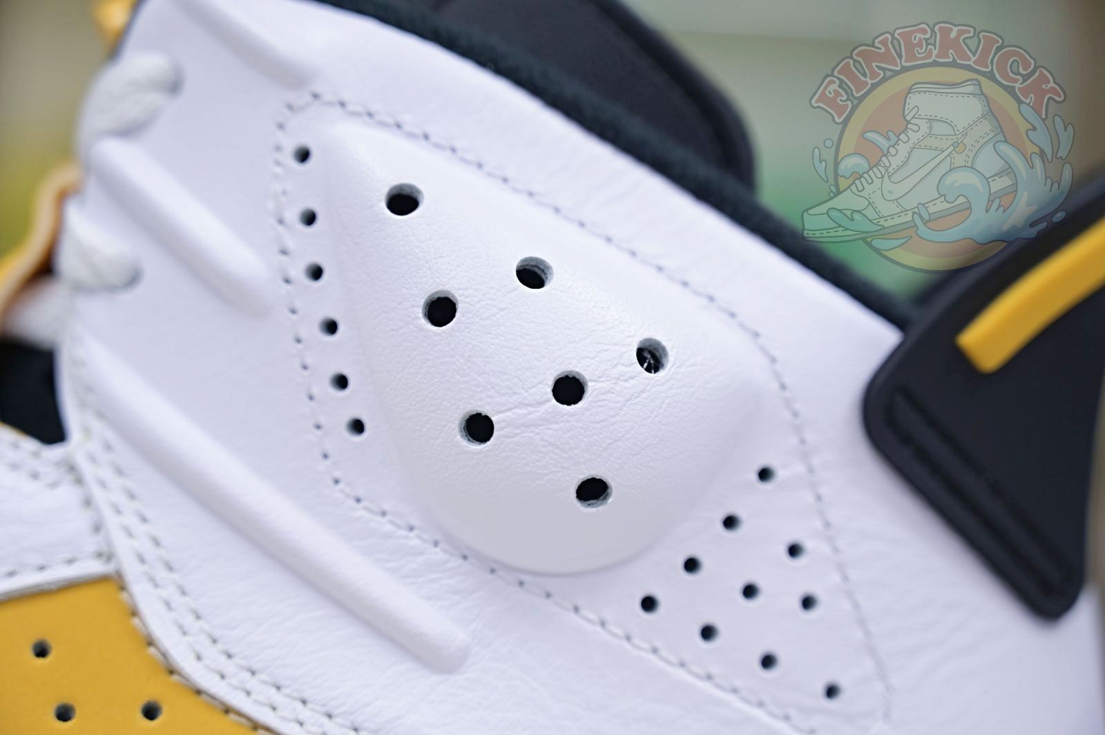 Air Jordan 6