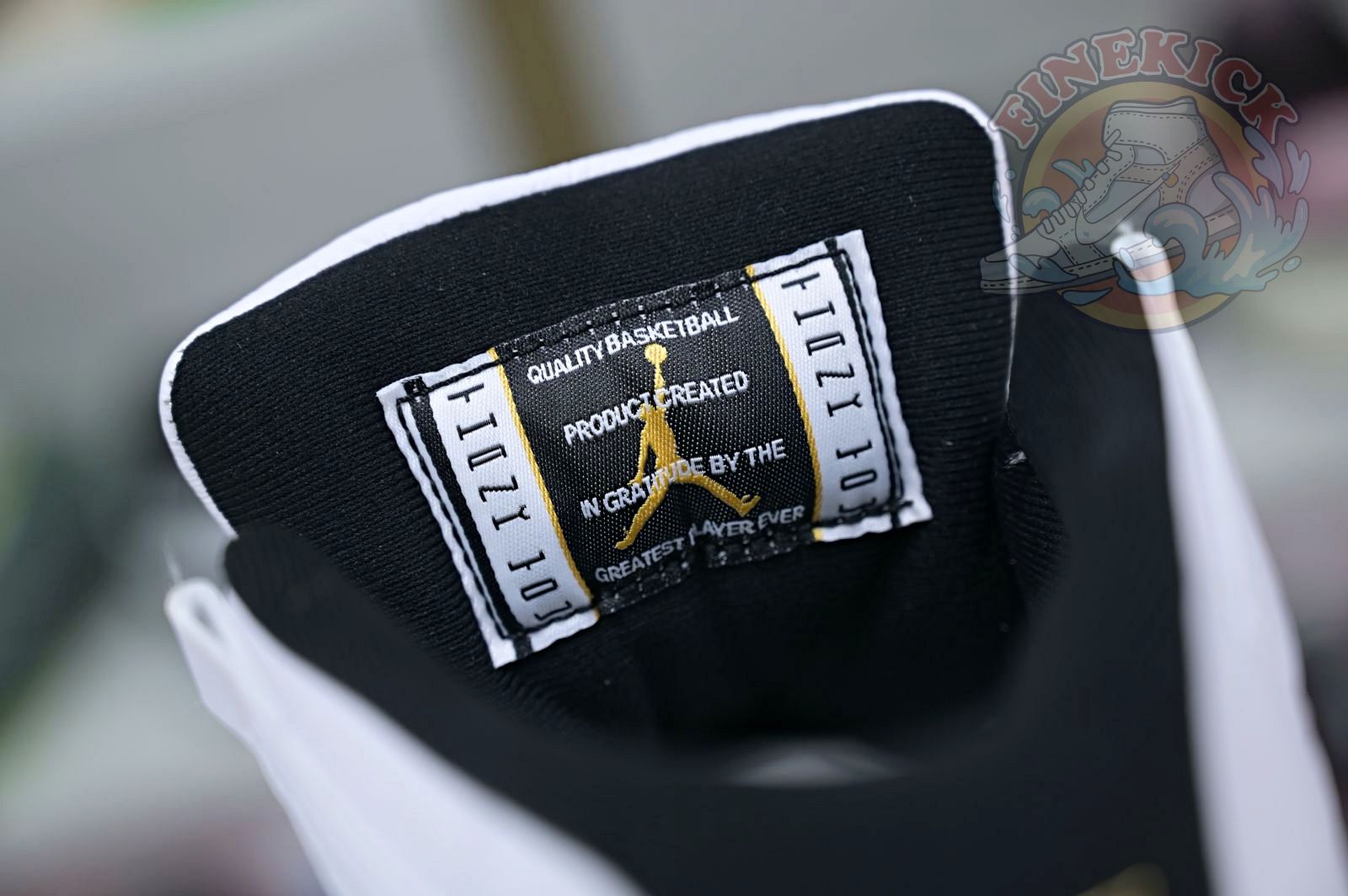 Air Jordan 11