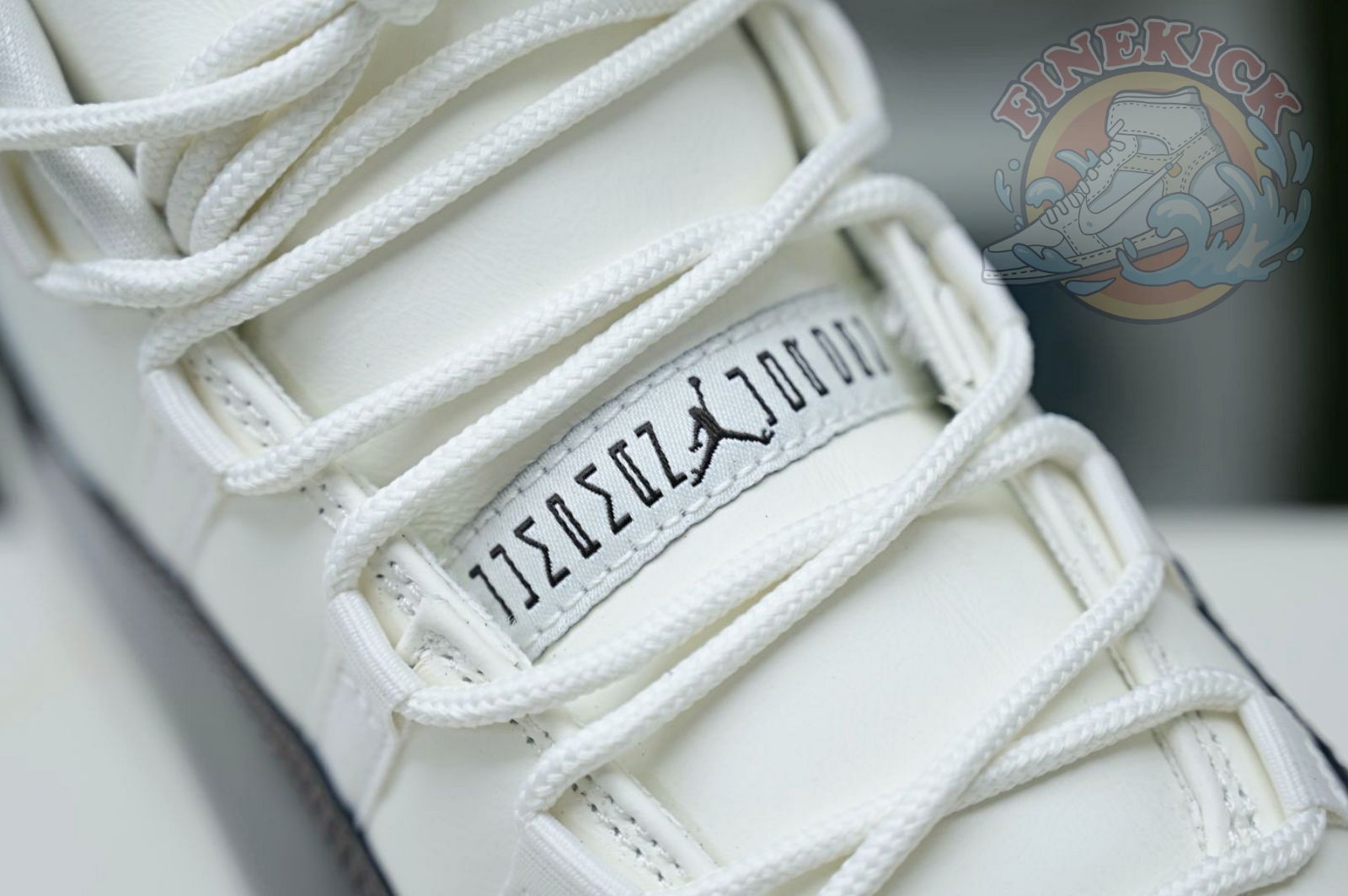 Air Jordan 11