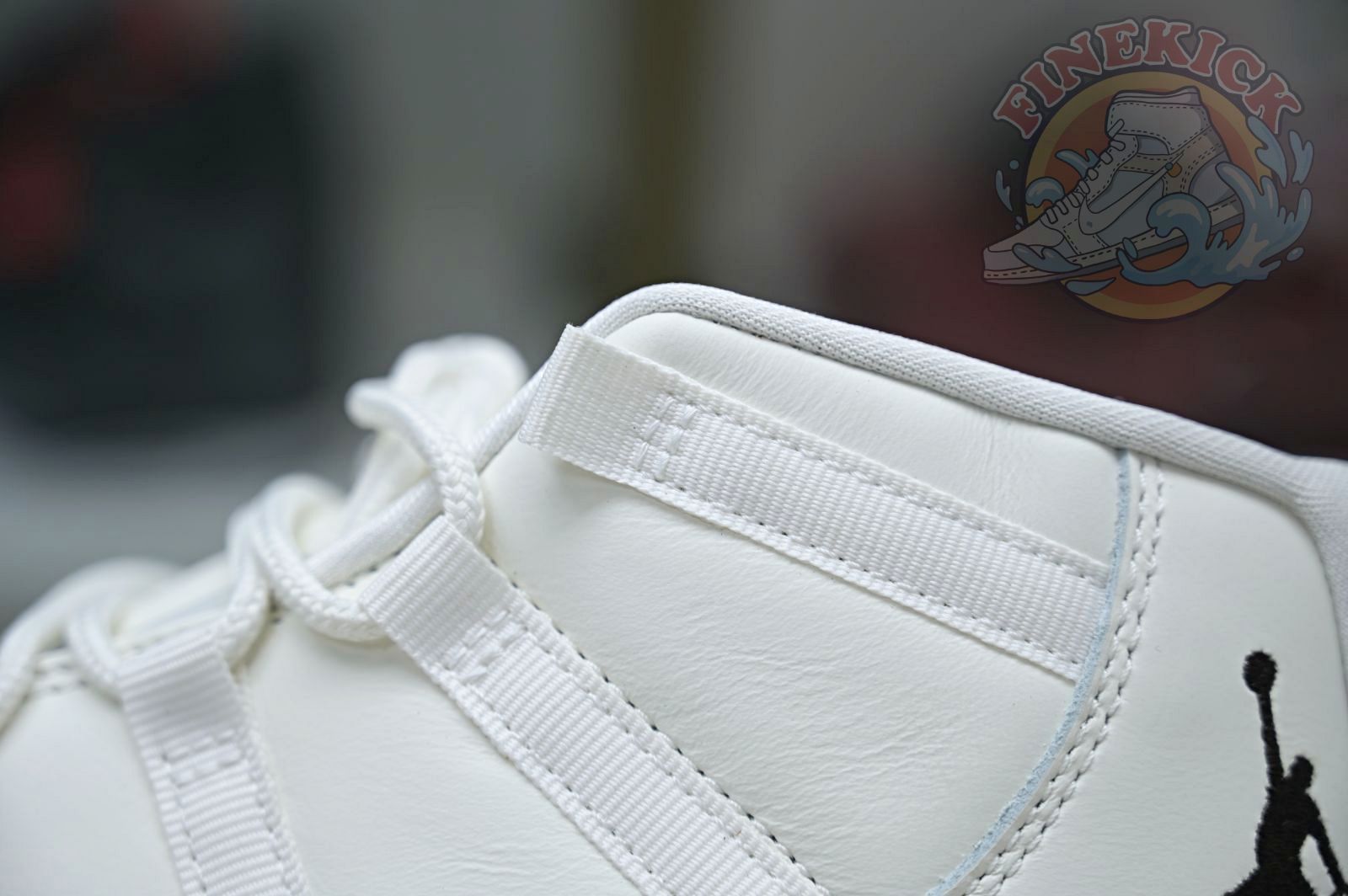 Air Jordan 11