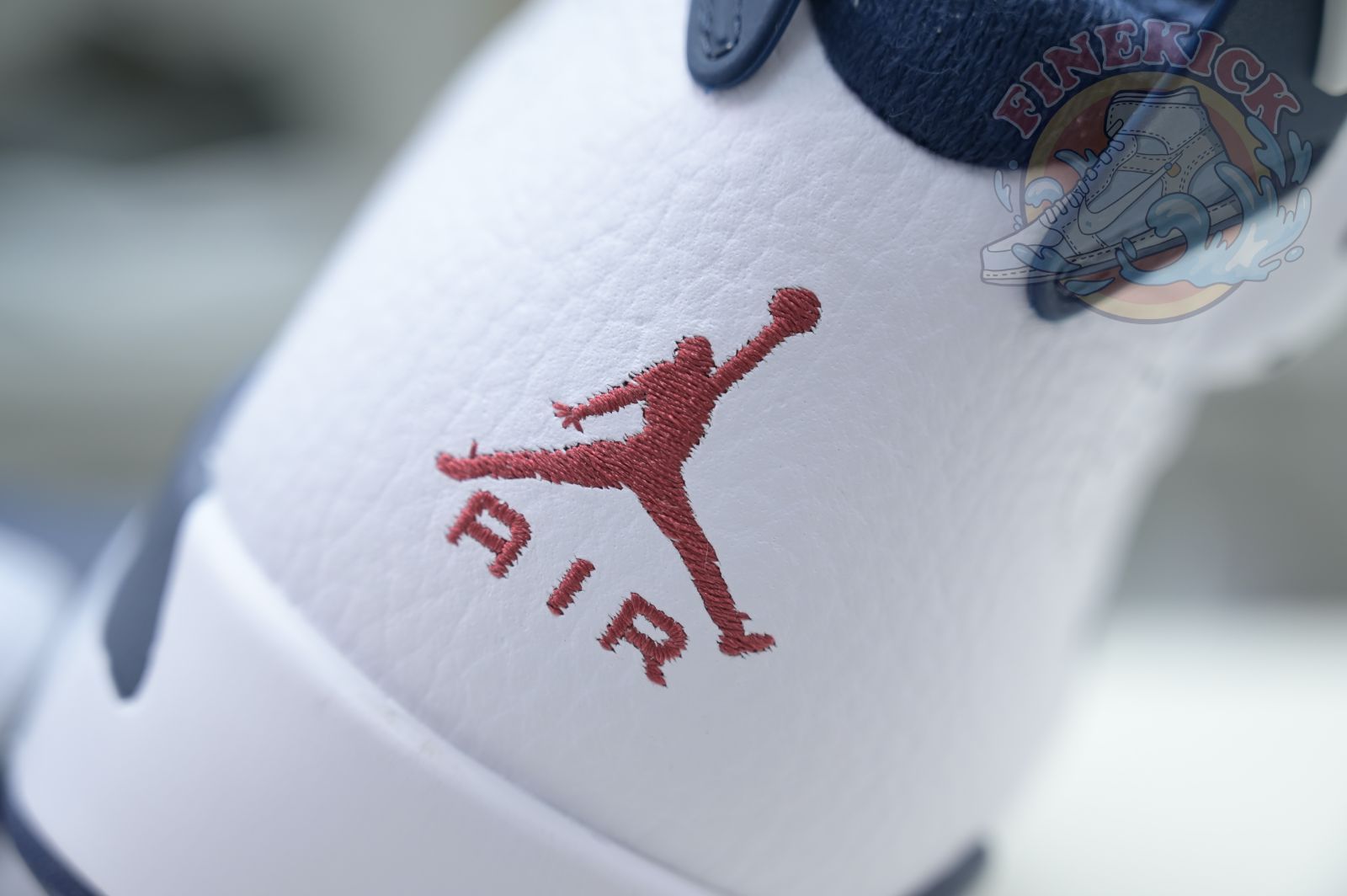 Air Jordan 6