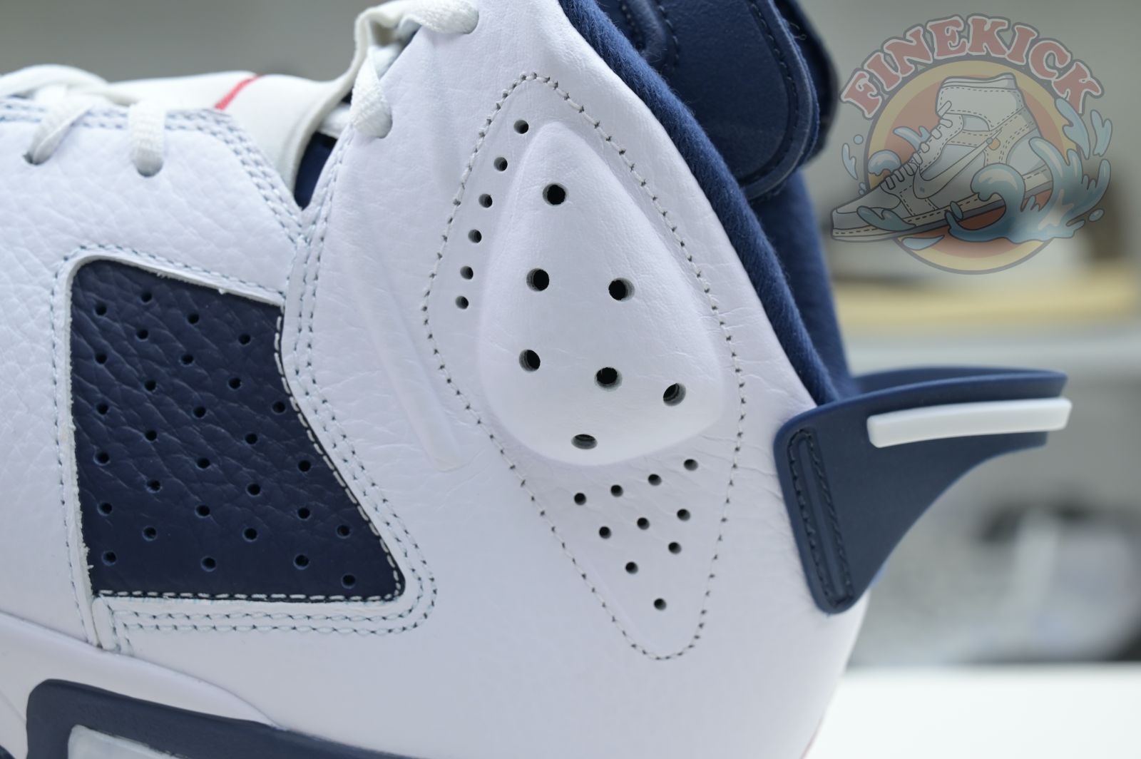 Air Jordan 6
