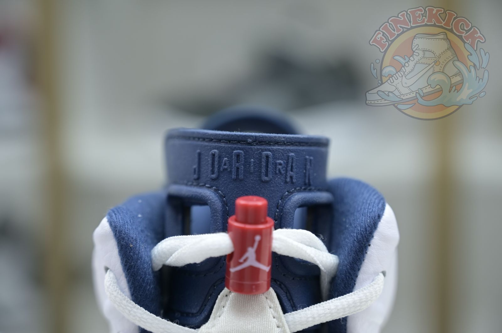 Air Jordan 6