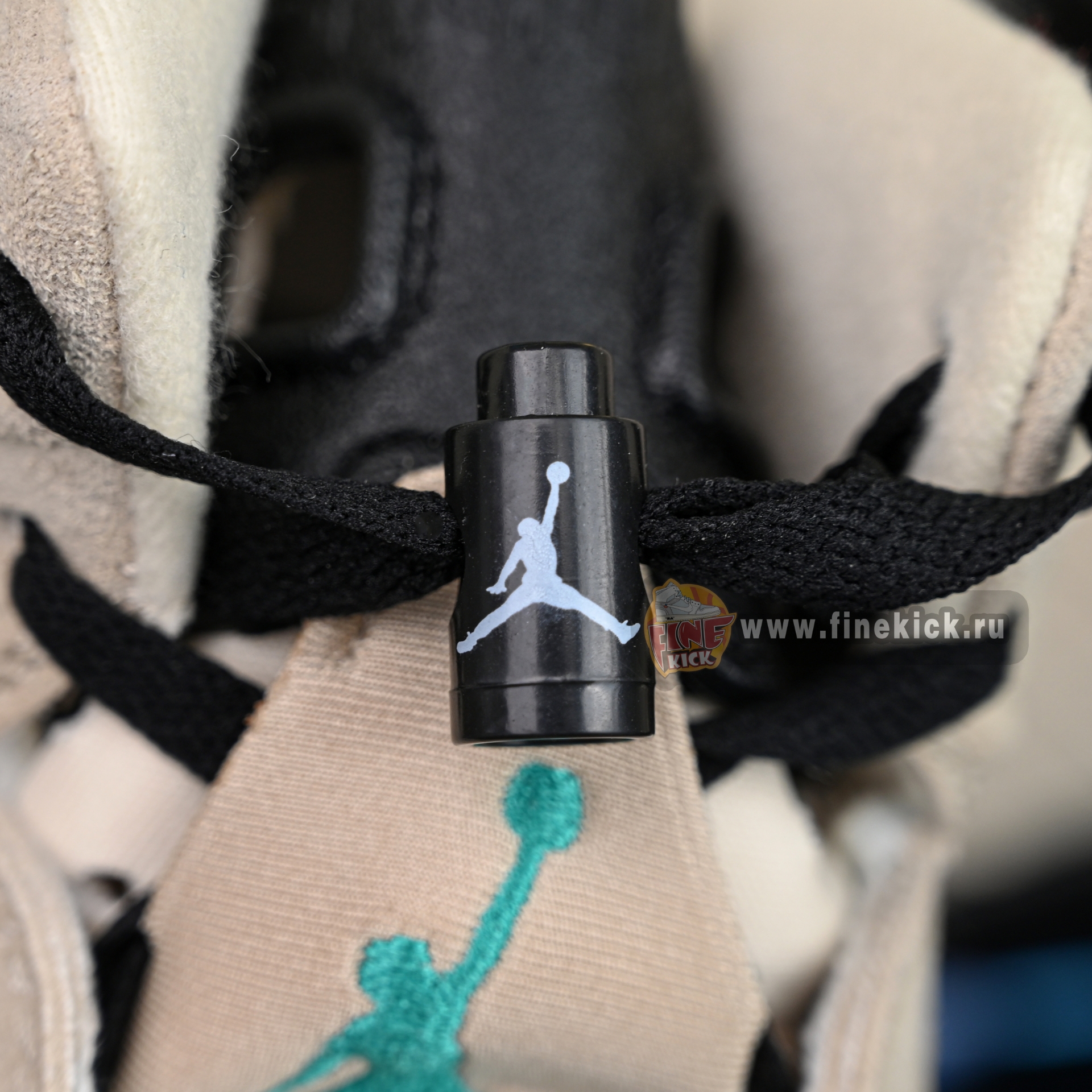 Air Jordan 6