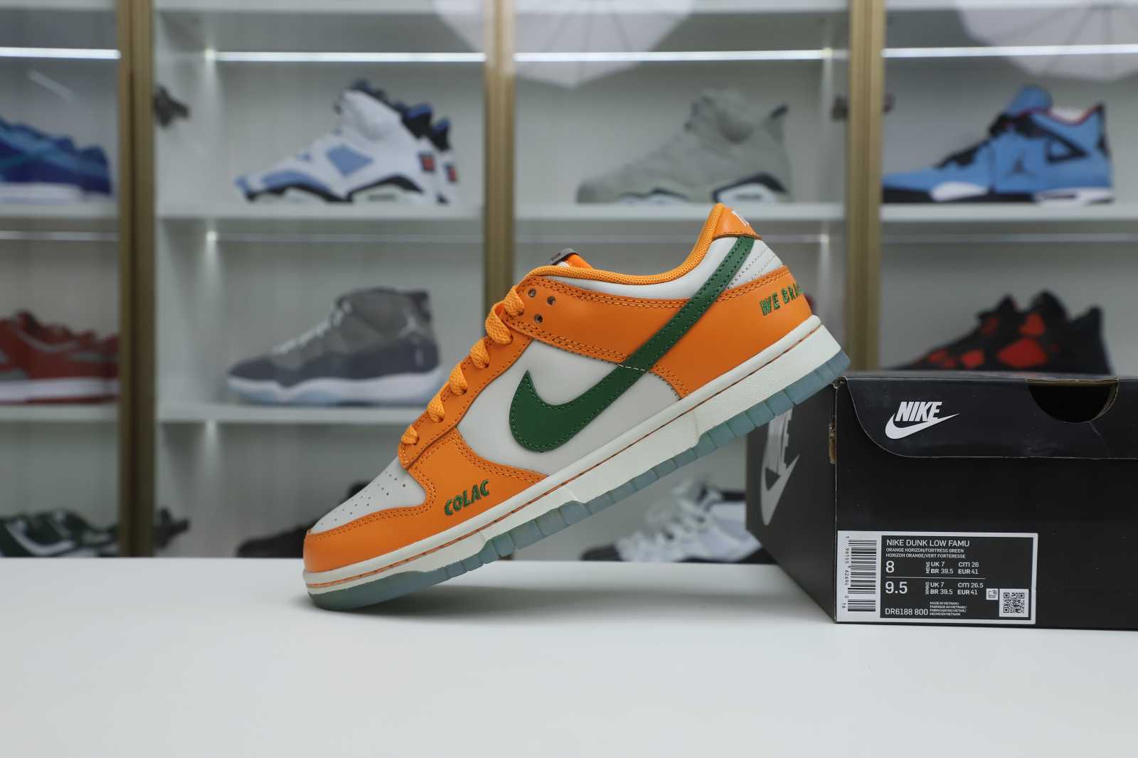 Nike Dunk Low  Florida A&M x