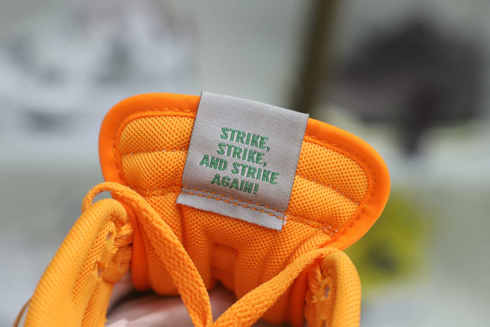 Nike Dunk Low  Florida A&M x