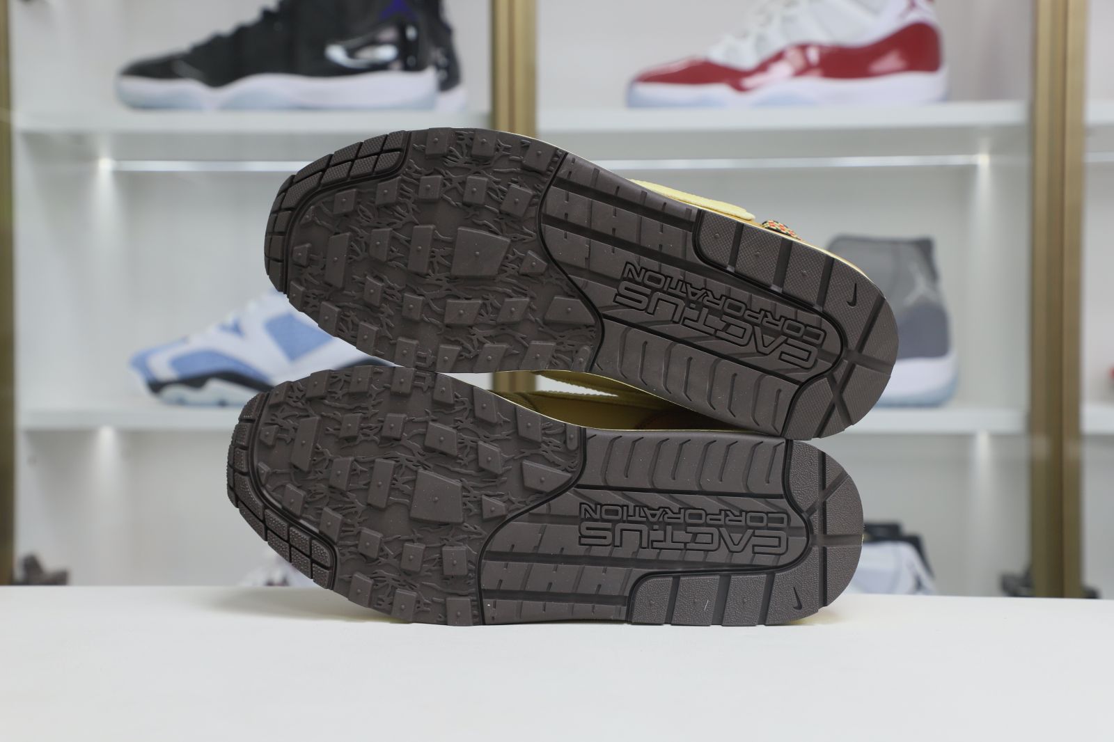 Travis Scott x Nike Air Max1