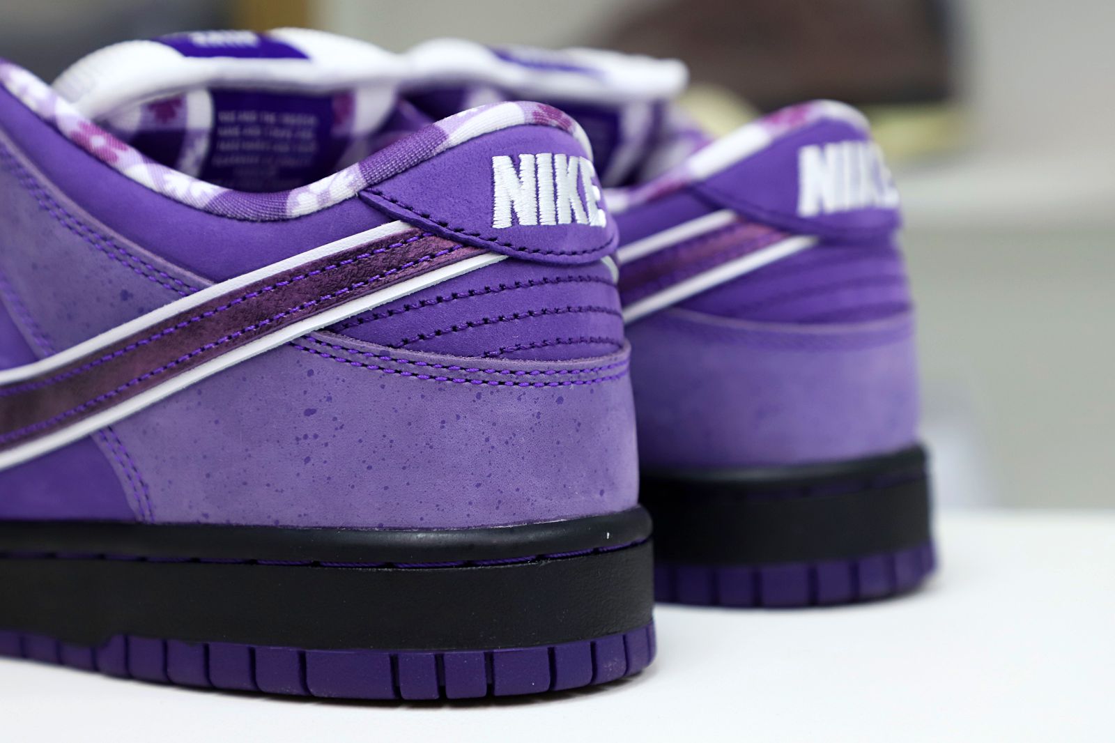 Concepts x Nike SB Dunk Low Pro OG QS