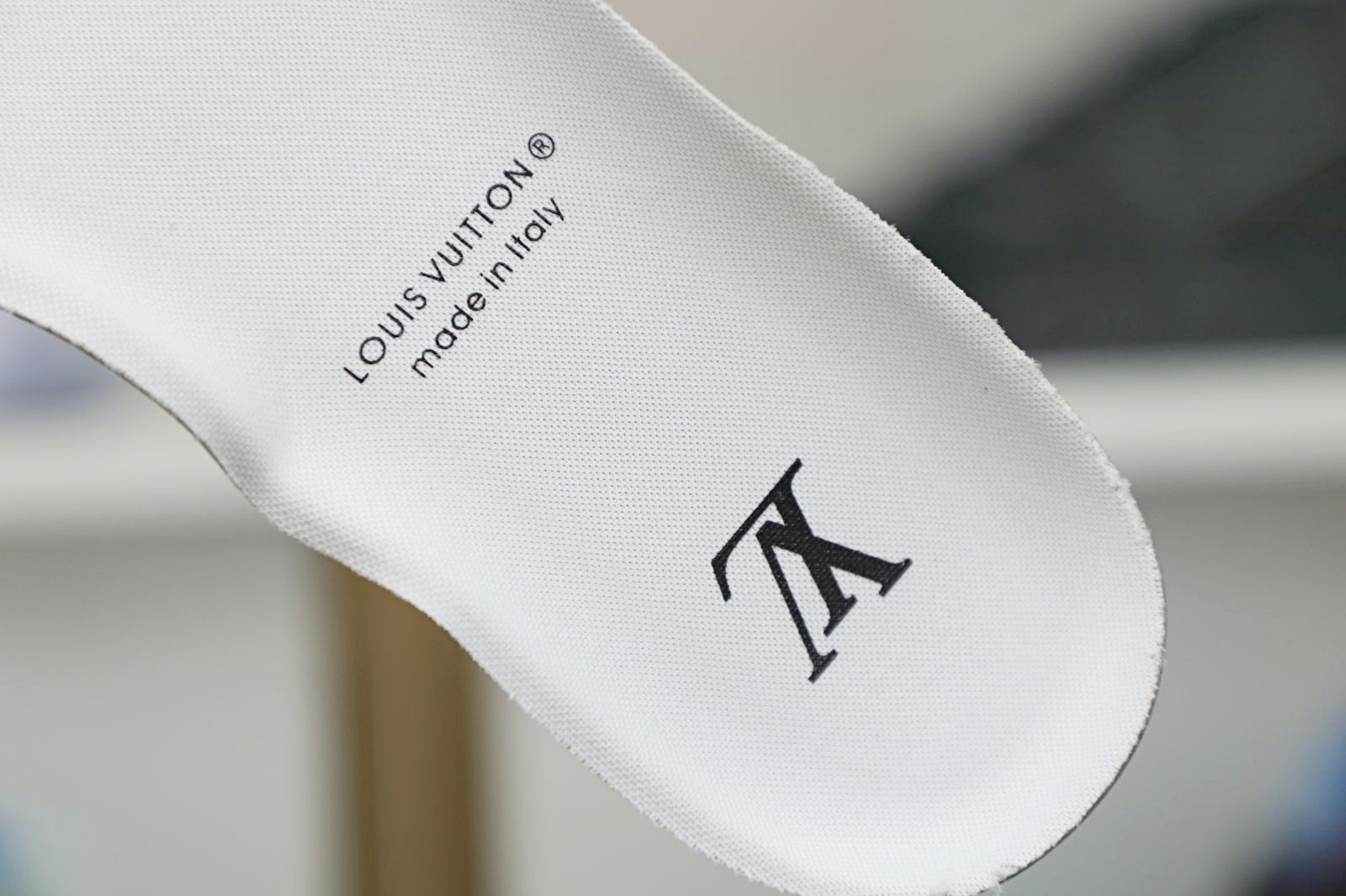 Louis Vuitton  LV  Trainer Maxi