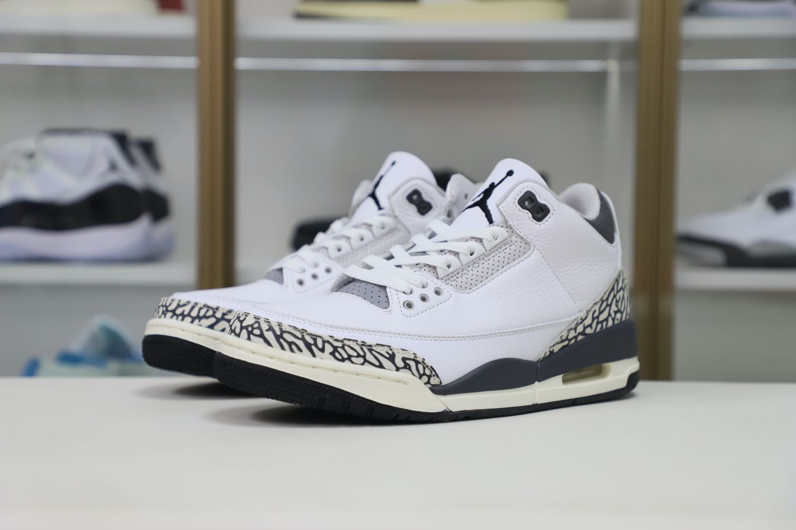 Jordan Air Jordan 3 Retro Hide N Sneak（DK6665-100）