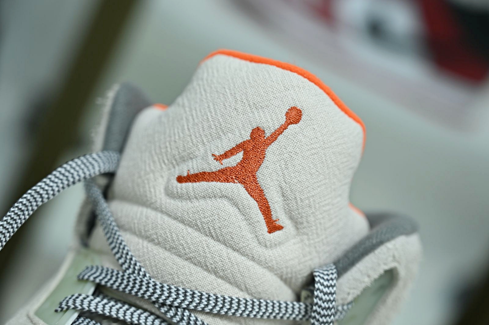 Jordan Air Jordan5 SE