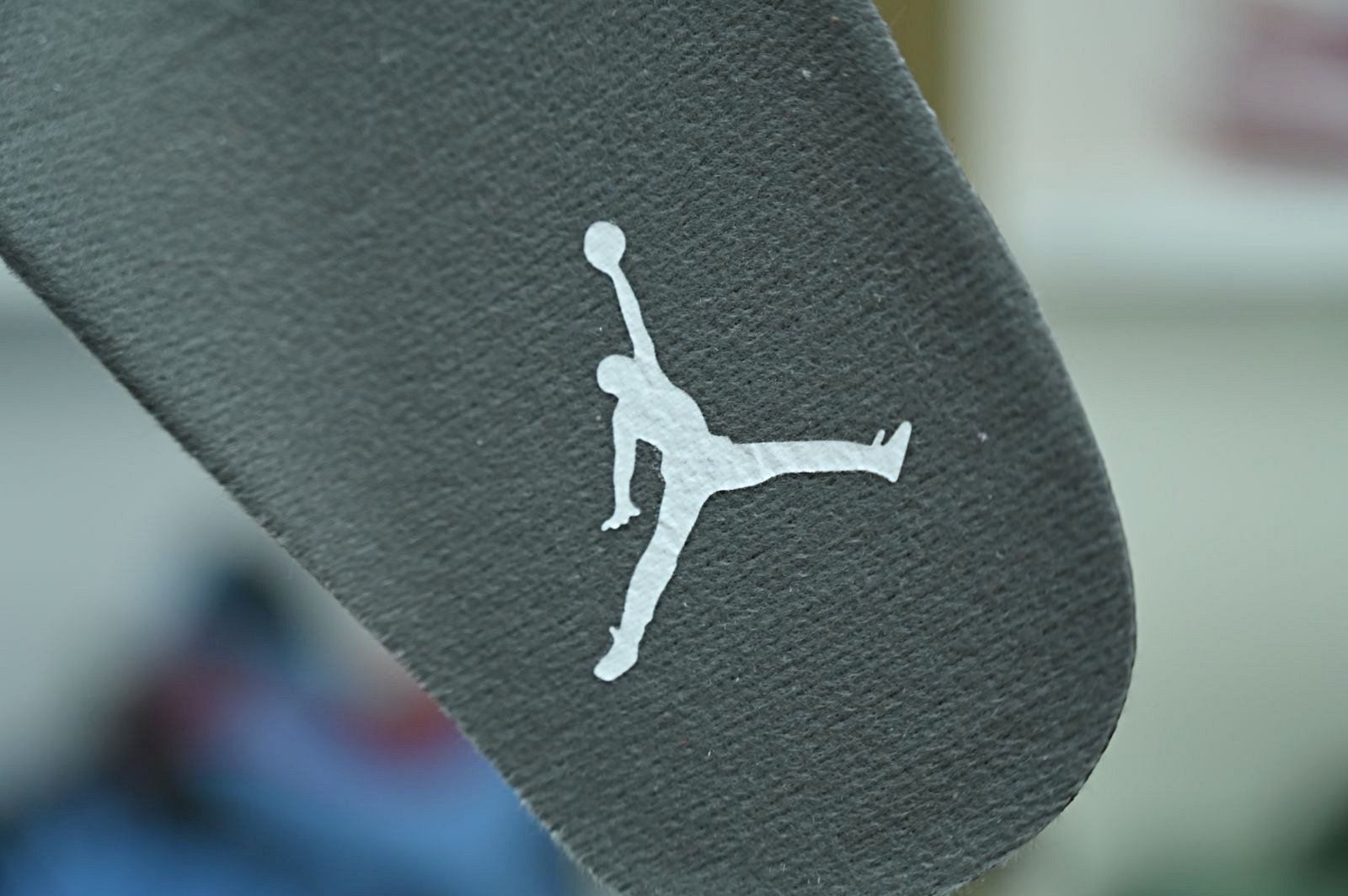 Jordan Air Jordan5 SE