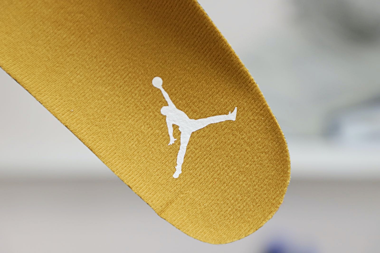 Jordan Air Jordan 13