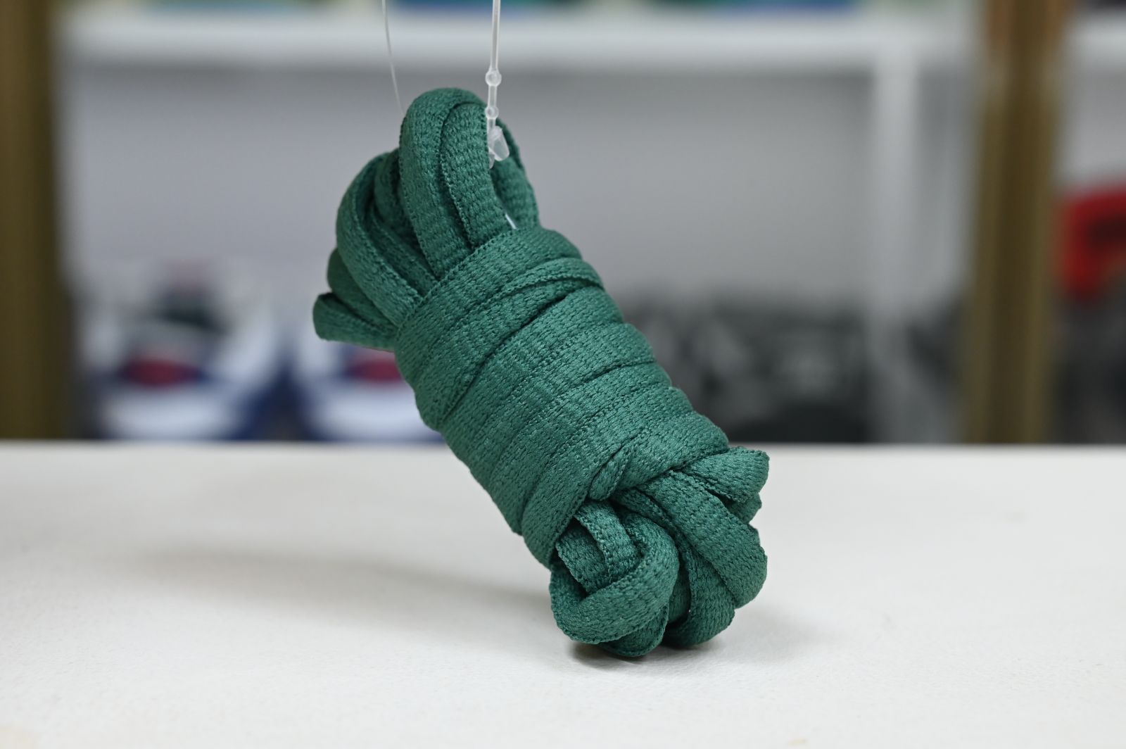 Nike Dunk SB Low Pro