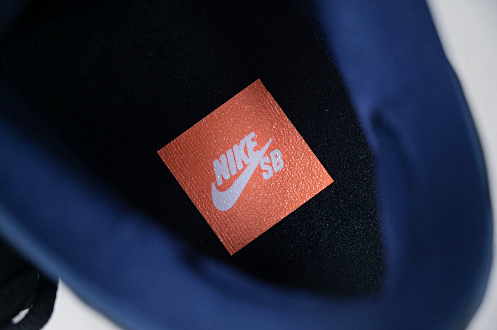 Nike Dunk SB Low Pro Iso 