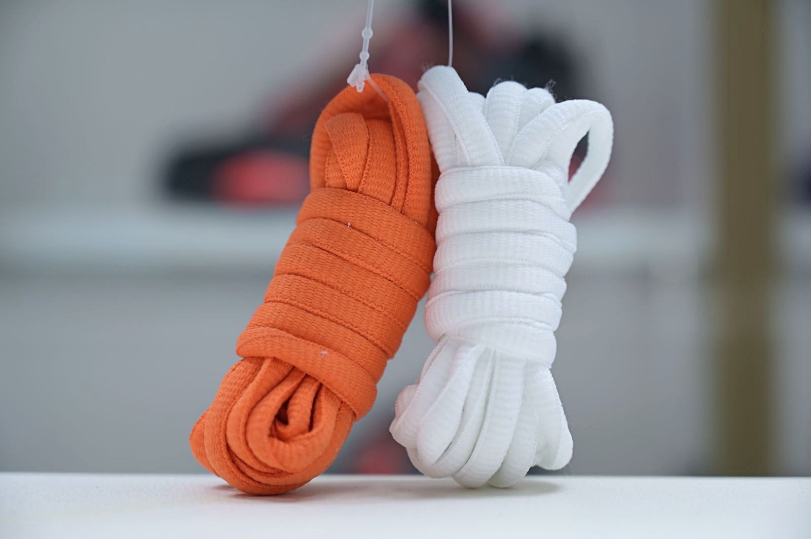 Nike Dunk SB Low Pro 