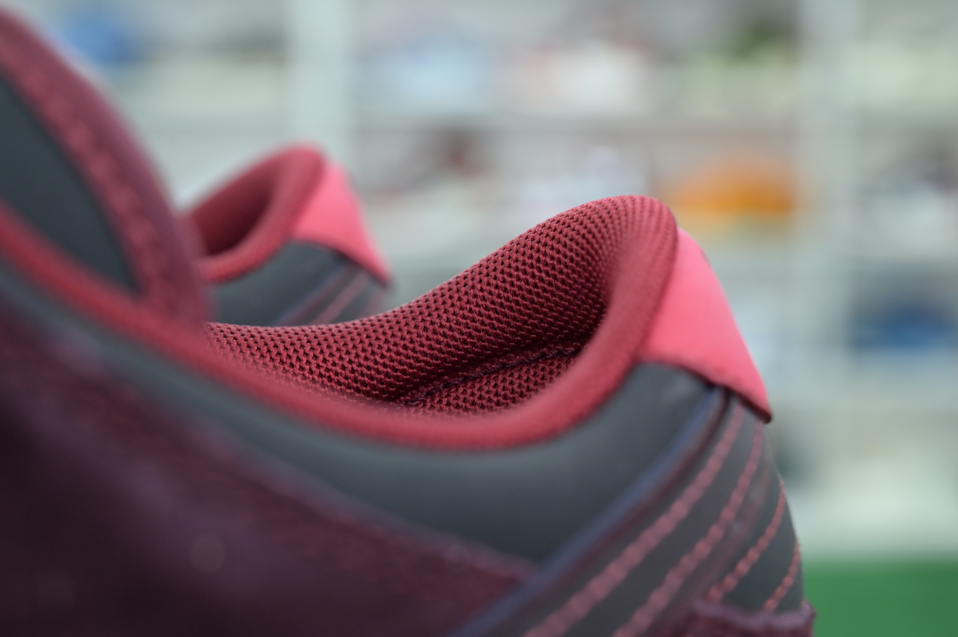 RIOT Skateshop x Nike SB Dunk Low