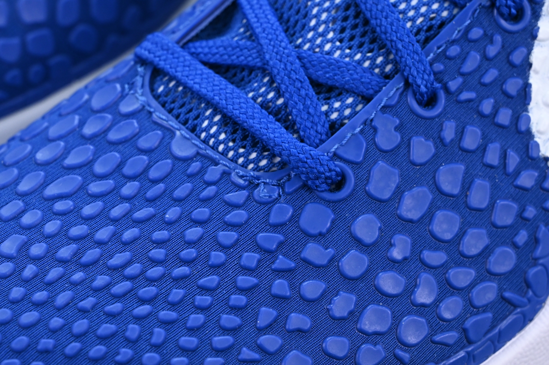 Nike Zoom Kobe 6 Protro“Dodgers”PE