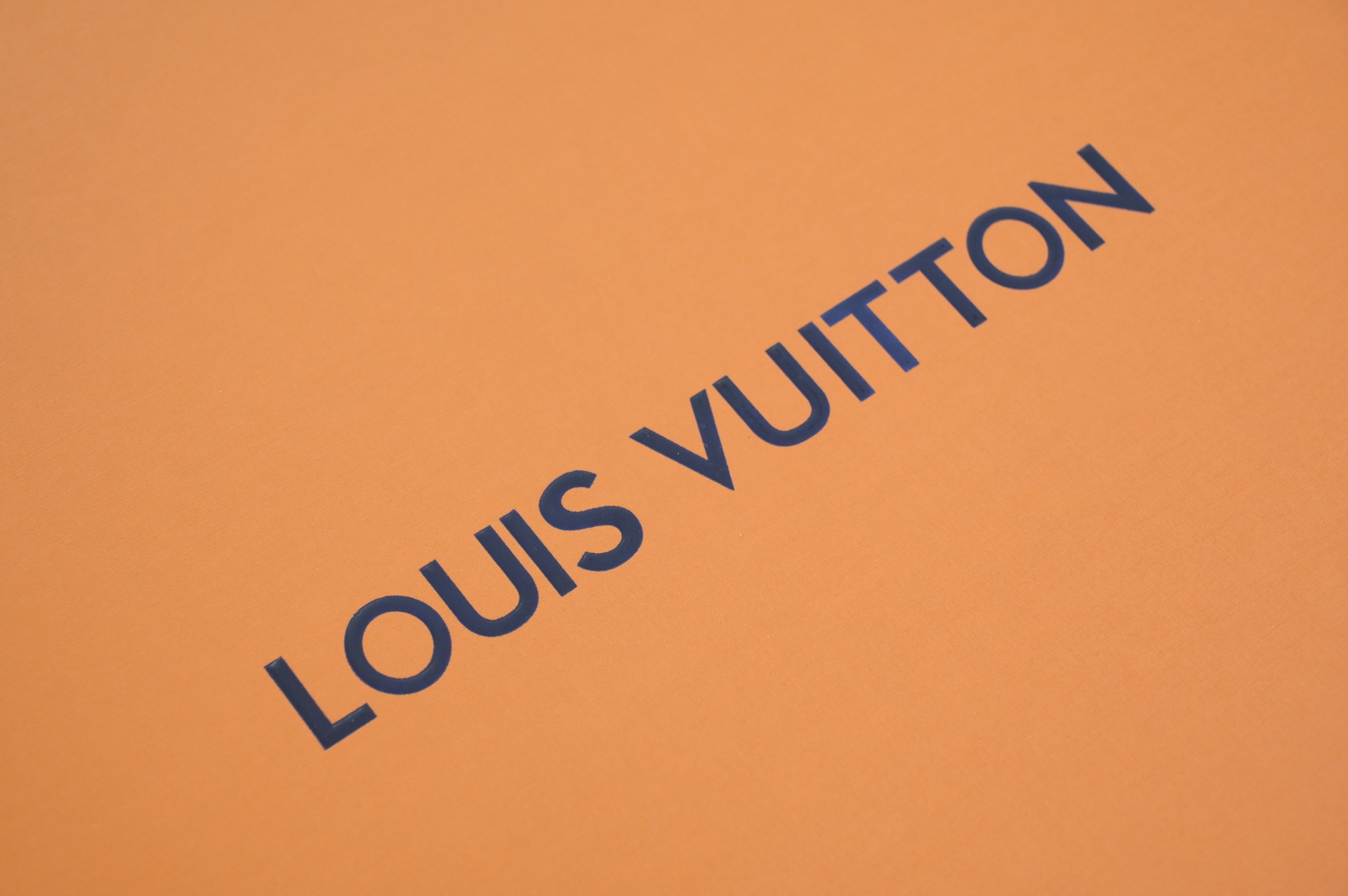 Louis Vuitton  LV