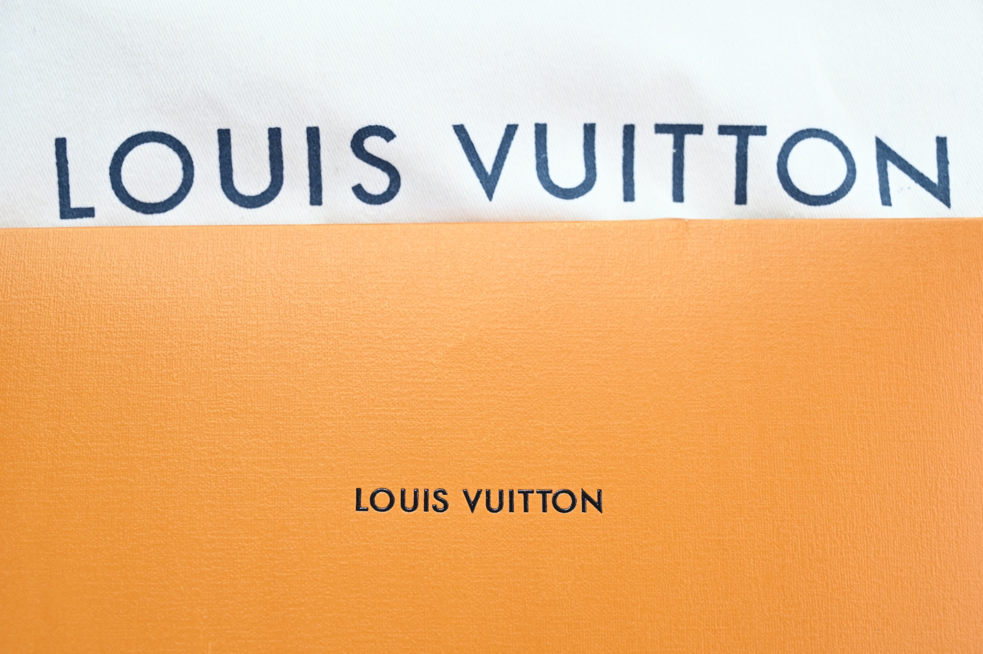 Louis Vuitton  LV  Discovery