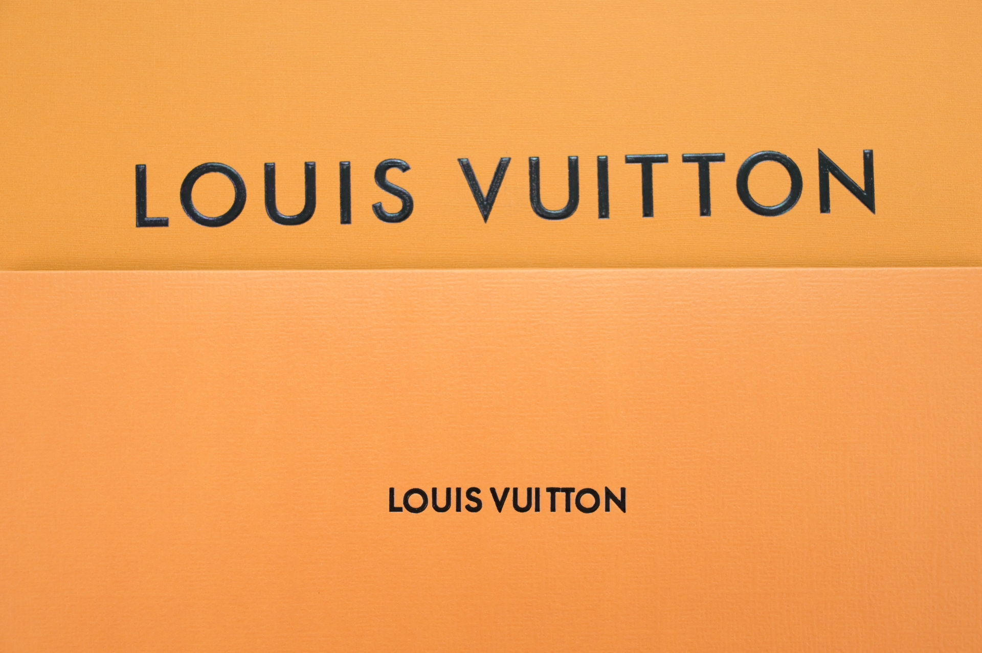 Louis Vuitton  LV