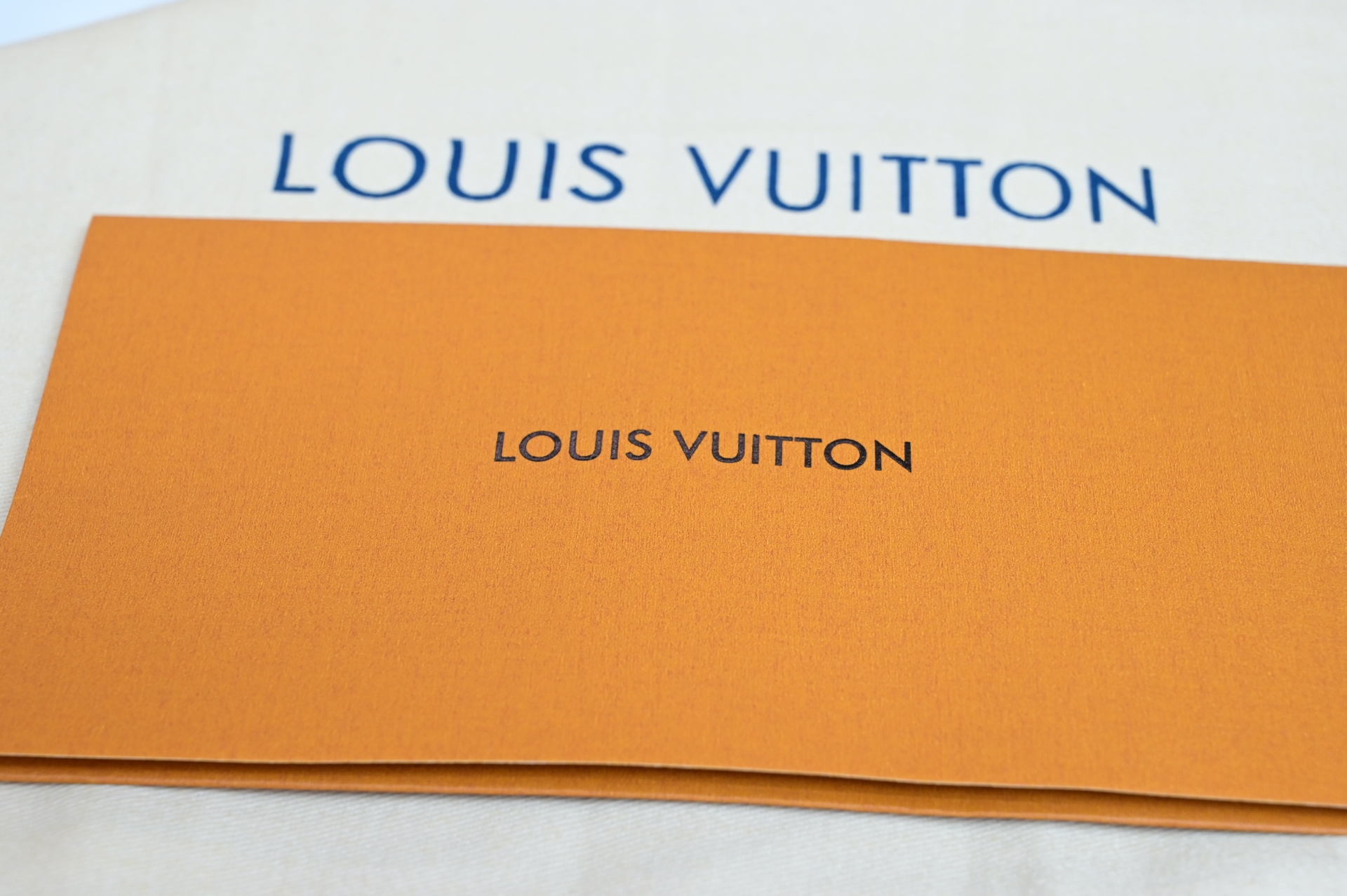 Louis Vuitton  LV