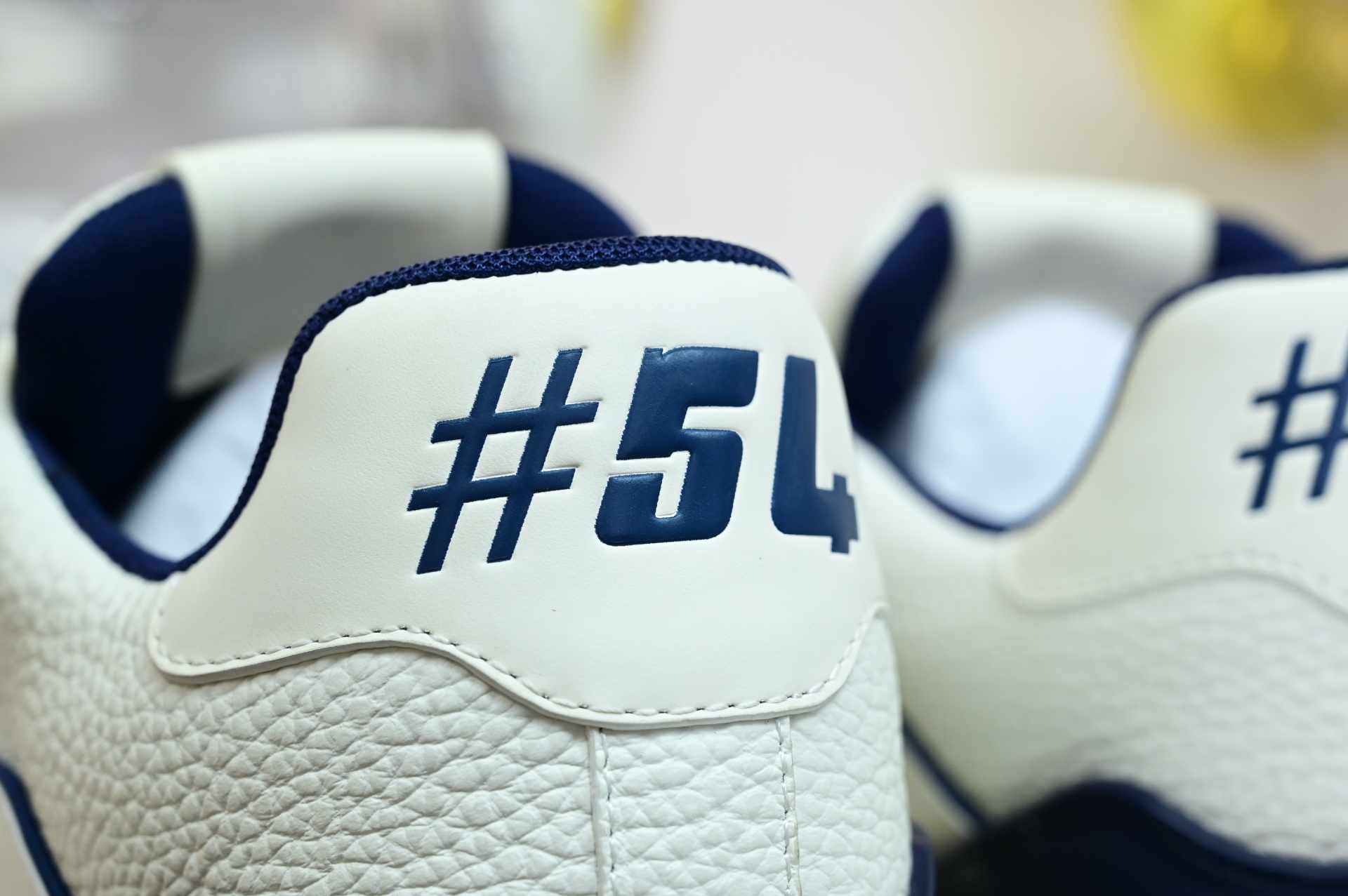 Louis Vuitton  LV   Trainer