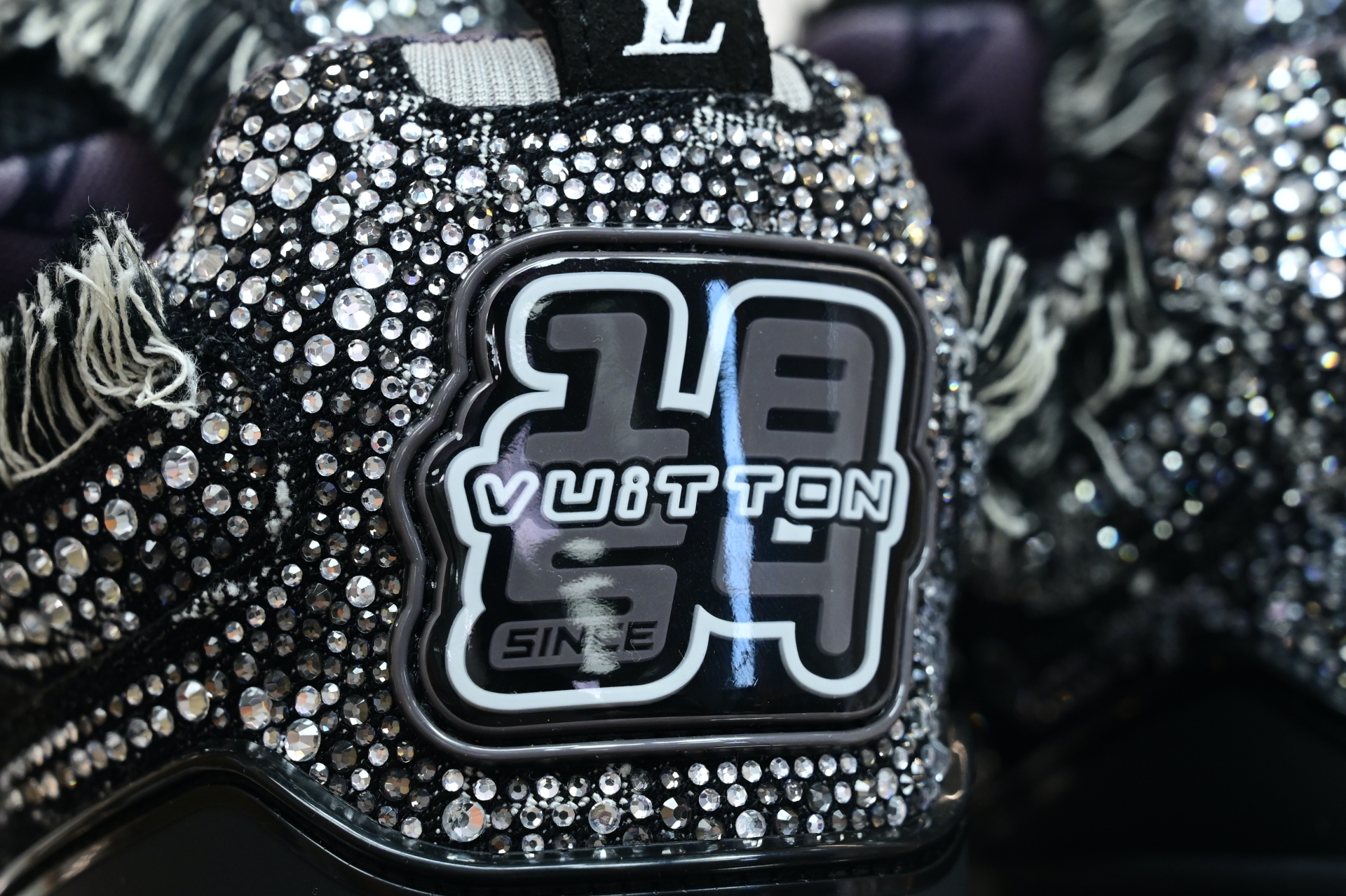 Louis Vuitton  LV  Skate