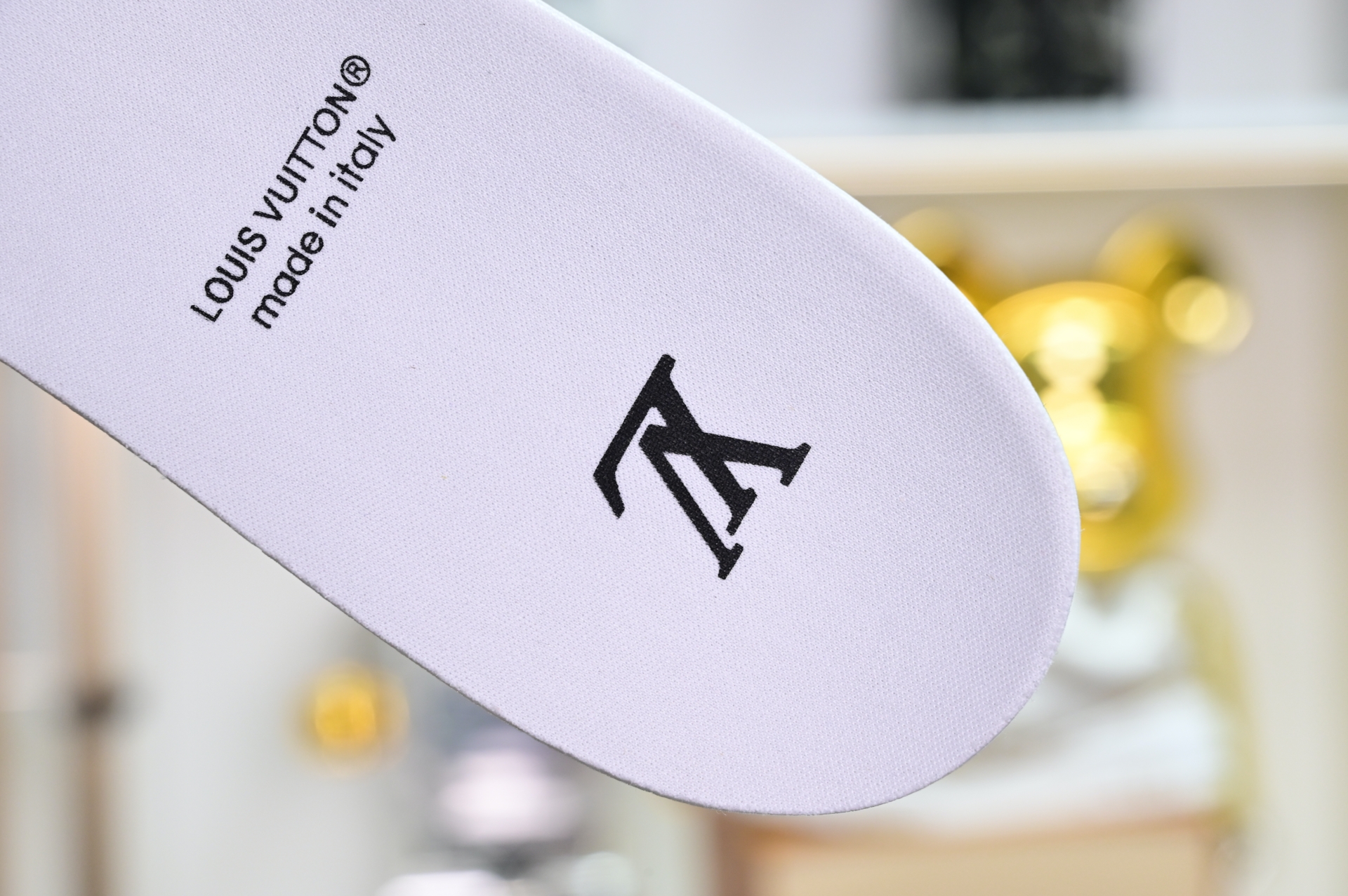 Louis Vuitton  LV  Skate