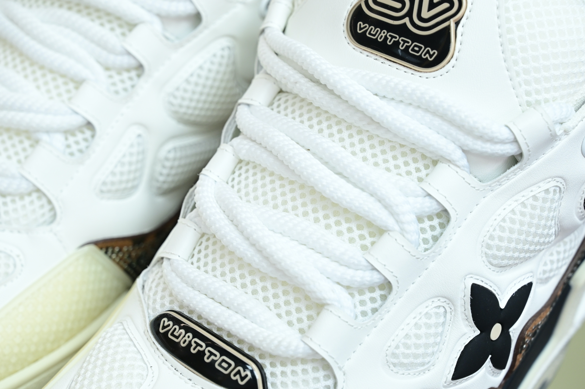 Louis Vuitton  LV  Skate