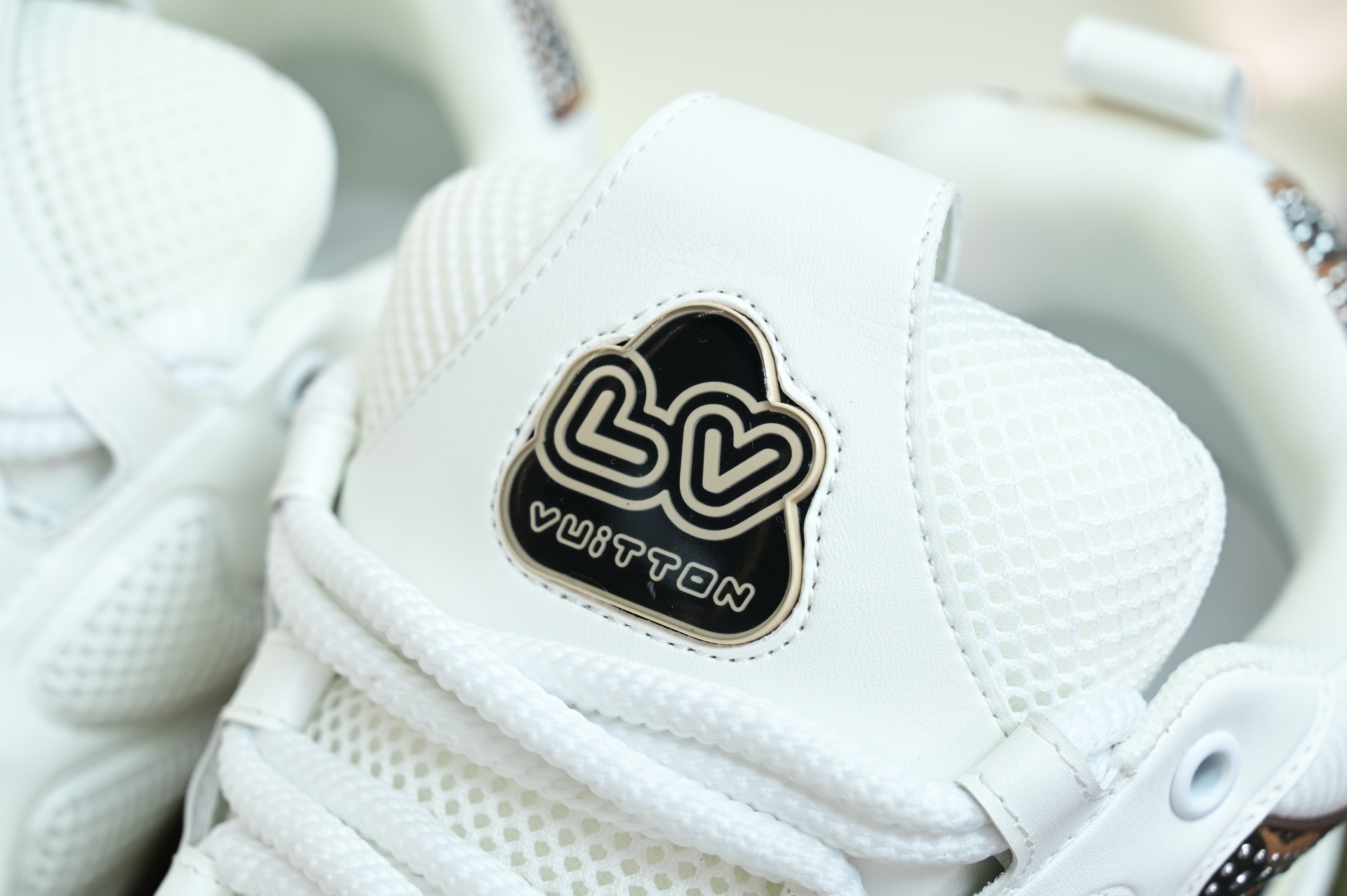 Louis Vuitton  LV  Skate