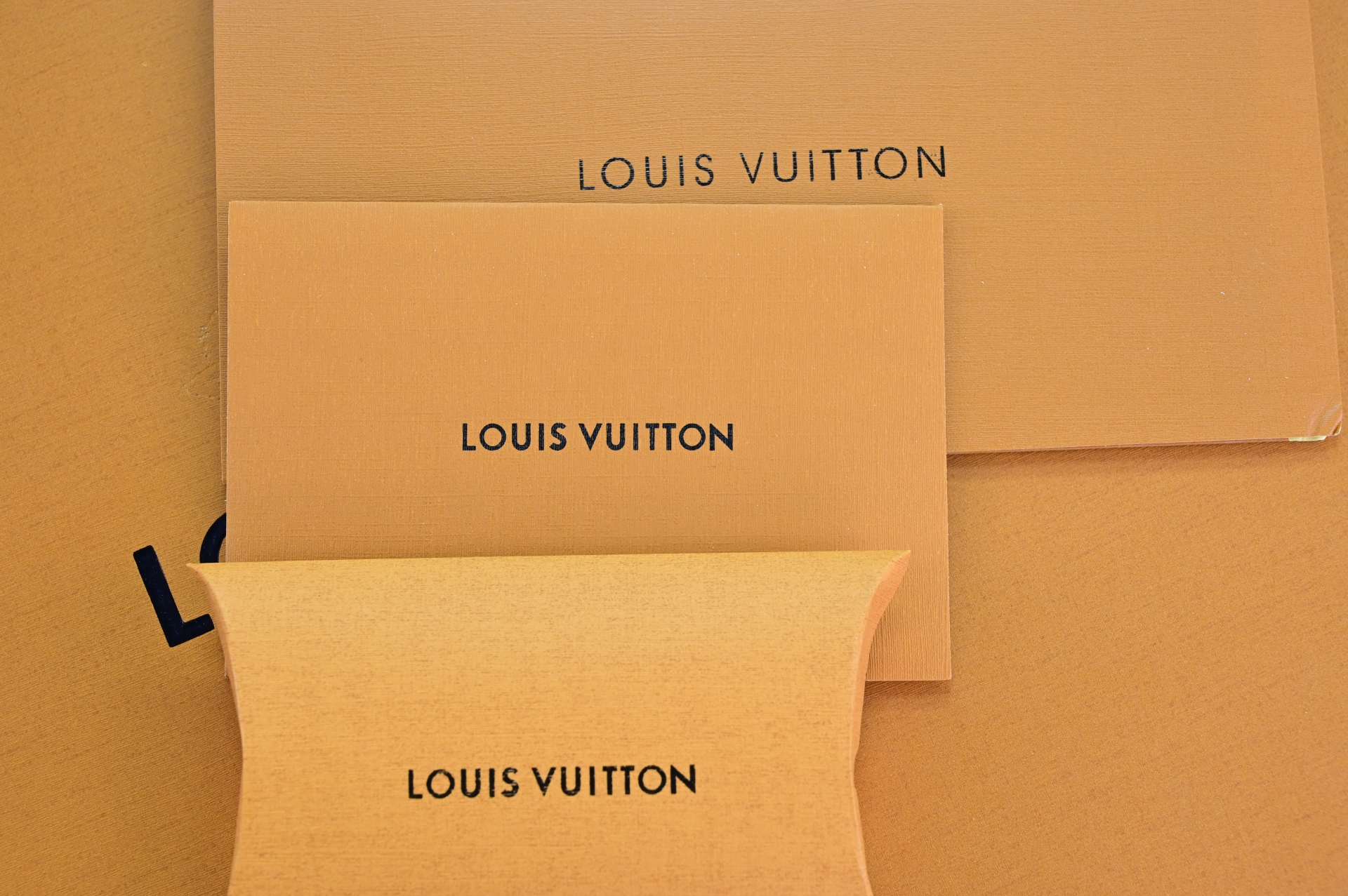 Takashi Murakami x Louis Vuitton  LV  Trainer