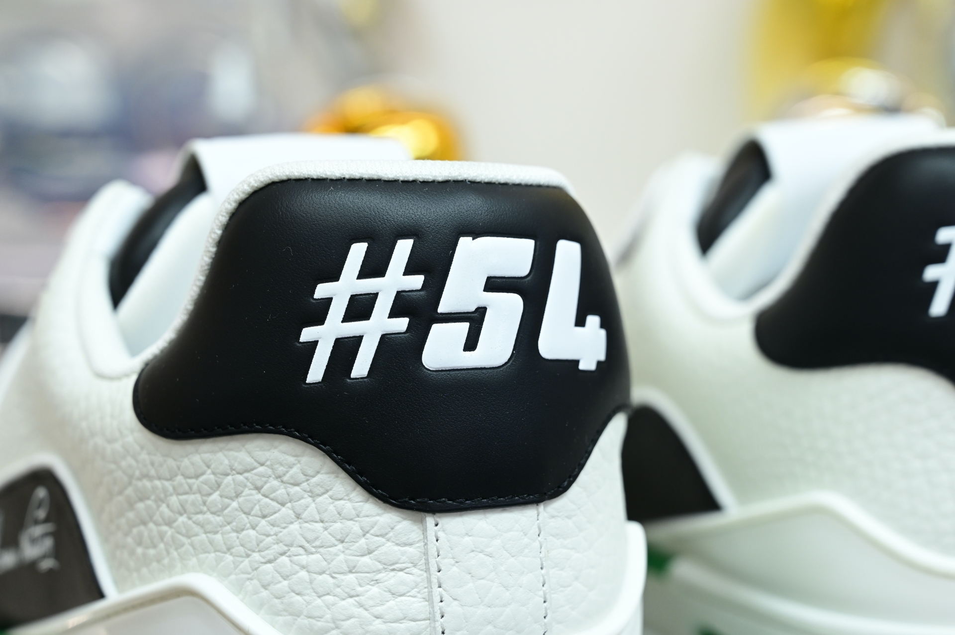 Louis Vuitton  LV   Trainer