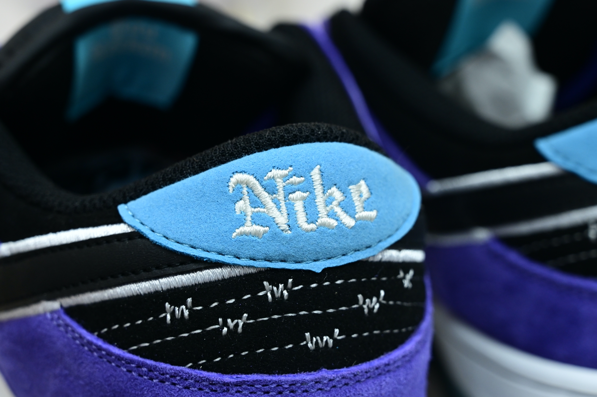 Hayley Wilson x Nike Dunk SB DUNK LOW PRO  HJ0513-500