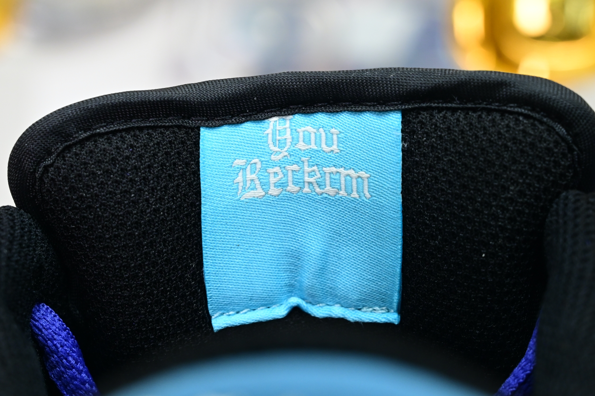 Hayley Wilson x Nike Dunk SB DUNK LOW PRO  HJ0513-500