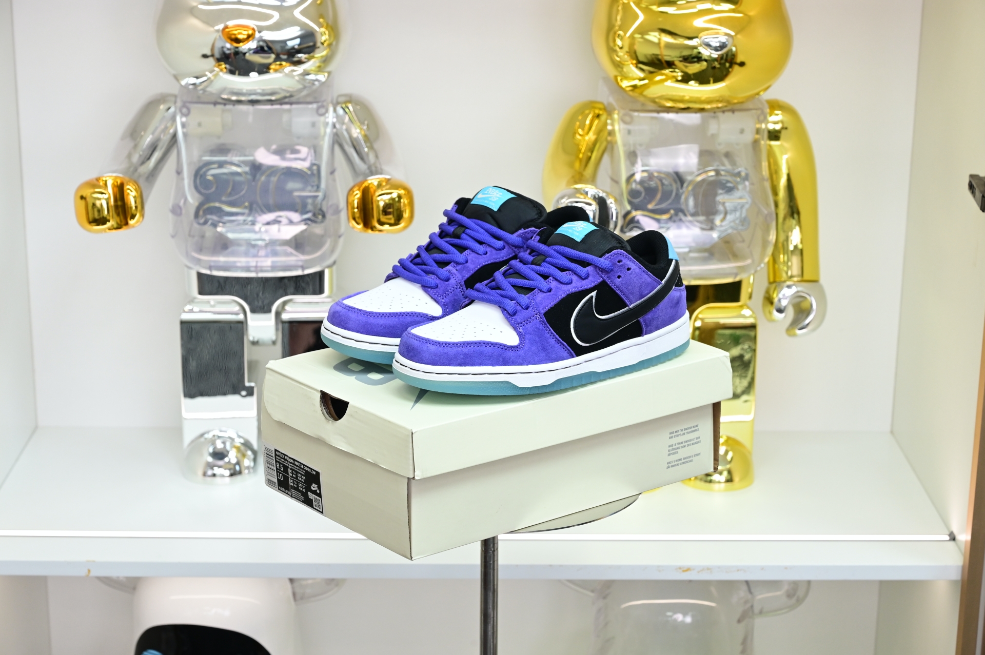 Hayley Wilson x Nike Dunk SB DUNK LOW PRO  HJ0513-500