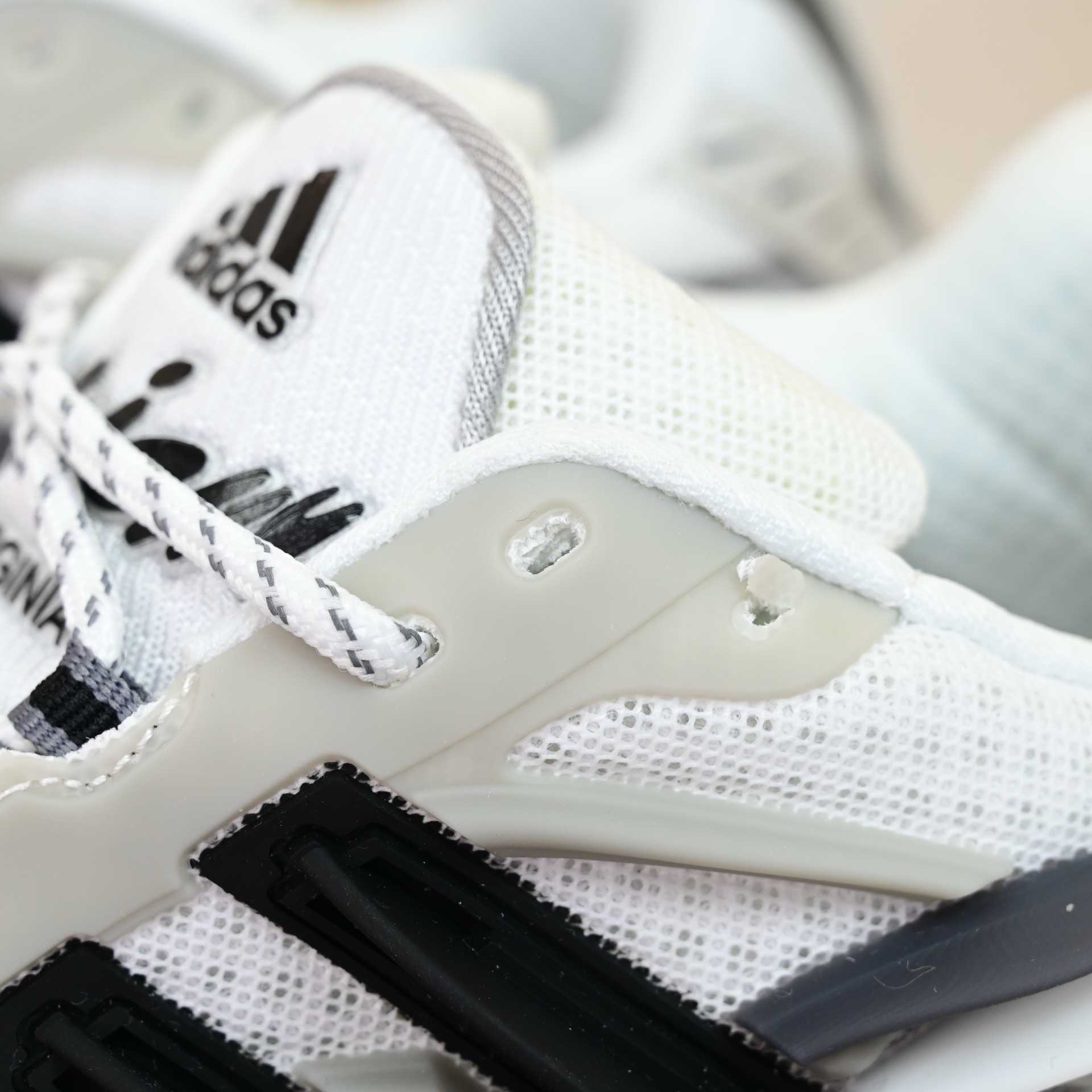 Pharrell x adidas Adistar Jellyhsh  JP9262