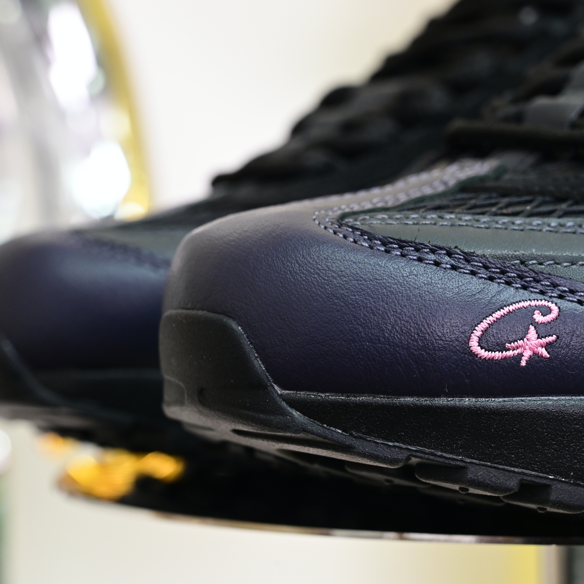 Corteiz x Nike Air Max 95