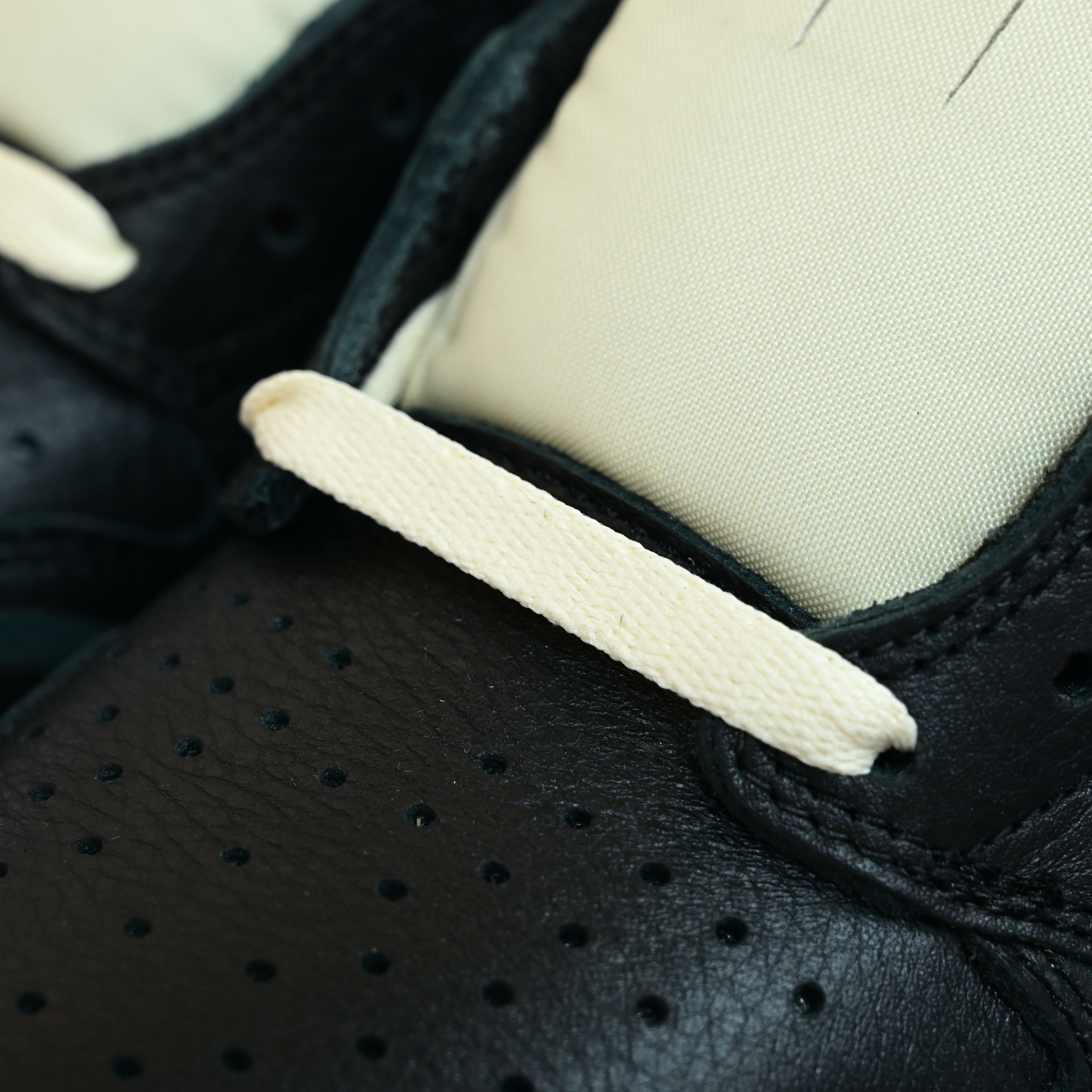 Nigel Sylvester x Air Jordan 1 Low OG Nitro 