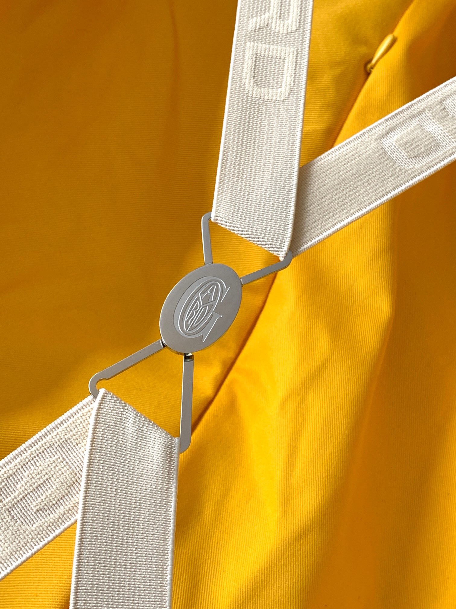 Goyard Rolling Trunk