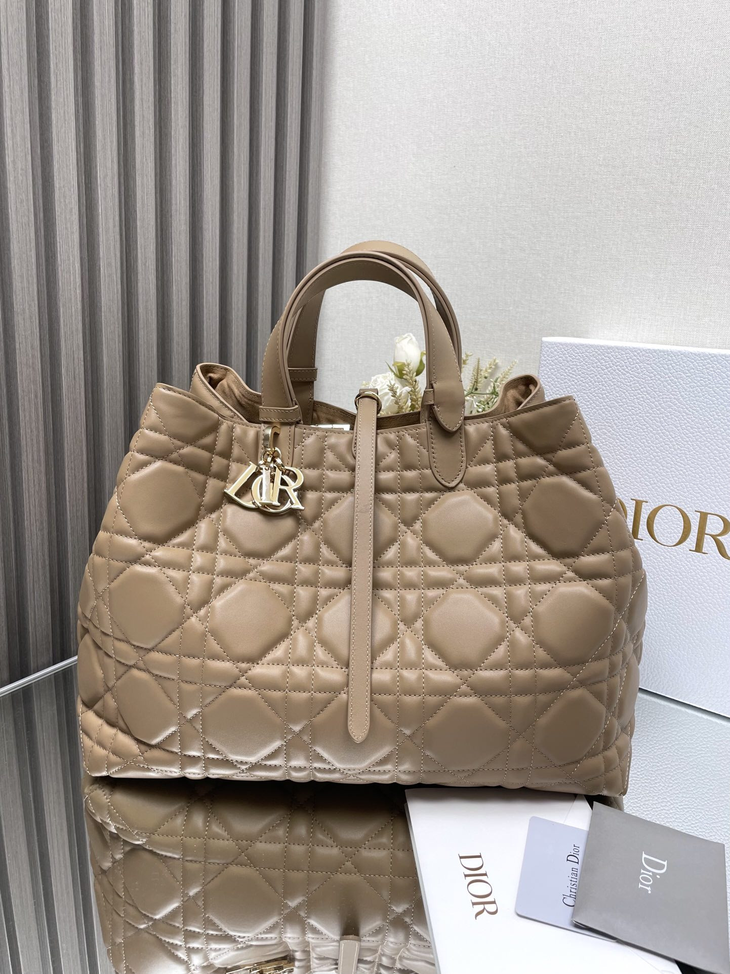 Dior Toujours Bag
