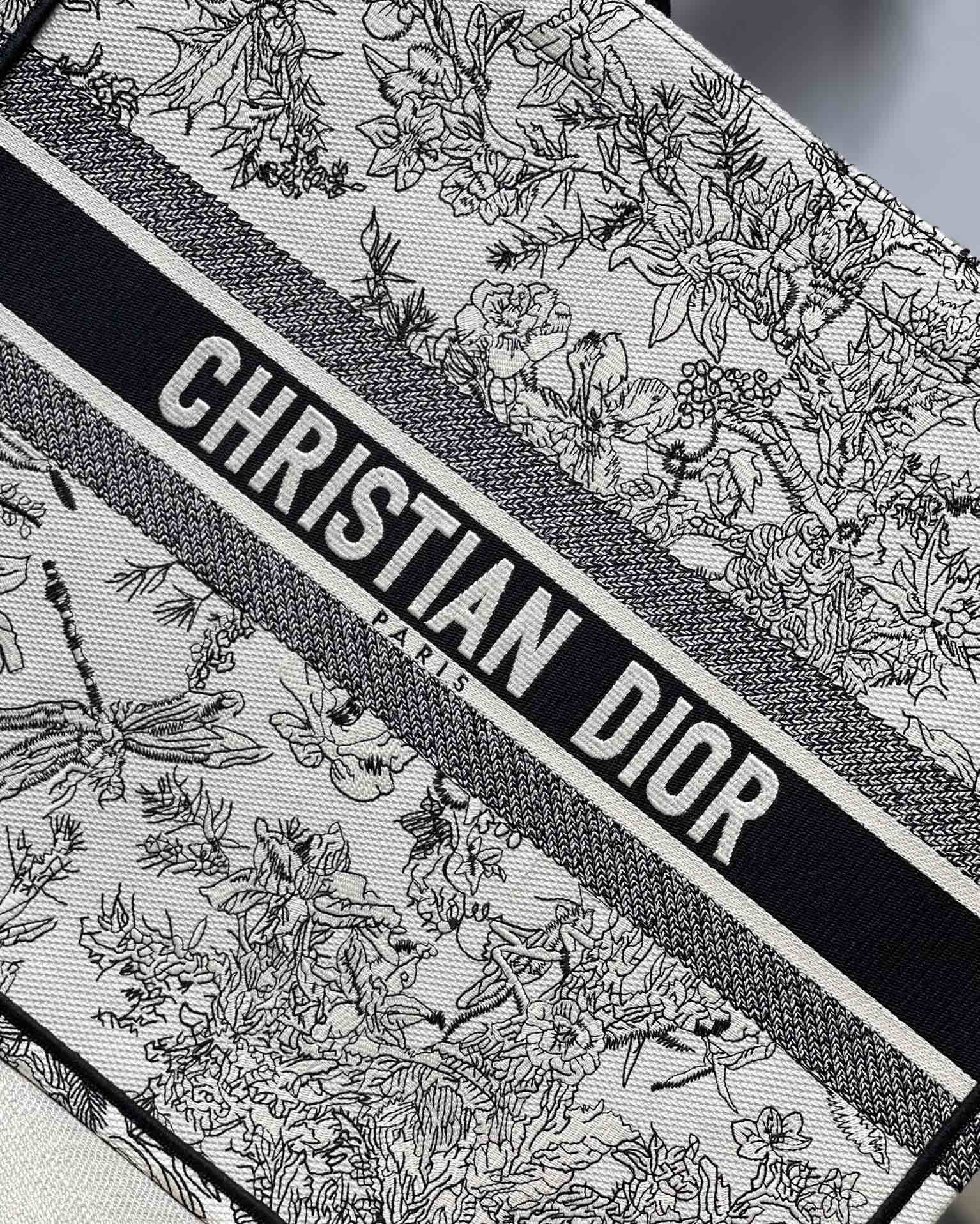 Large Dior Book Tote