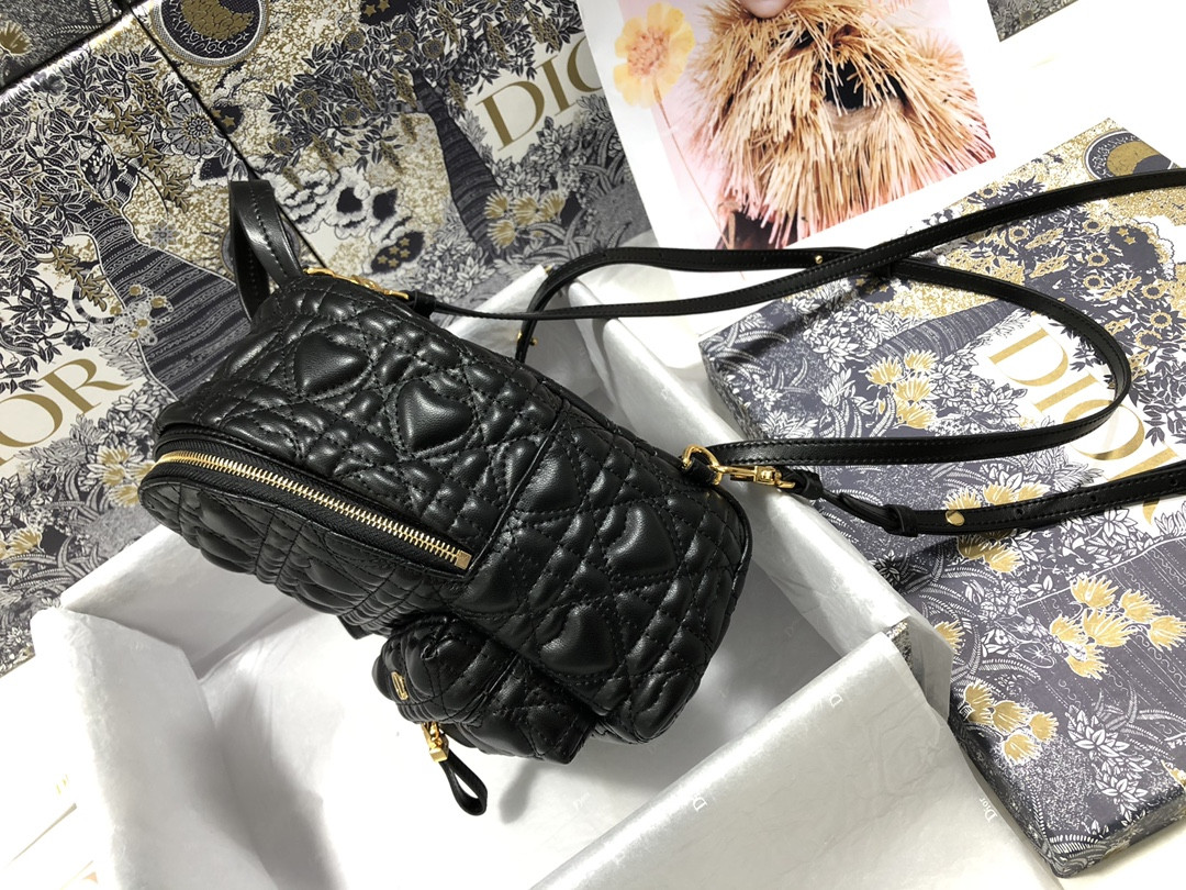 Dior Backpack